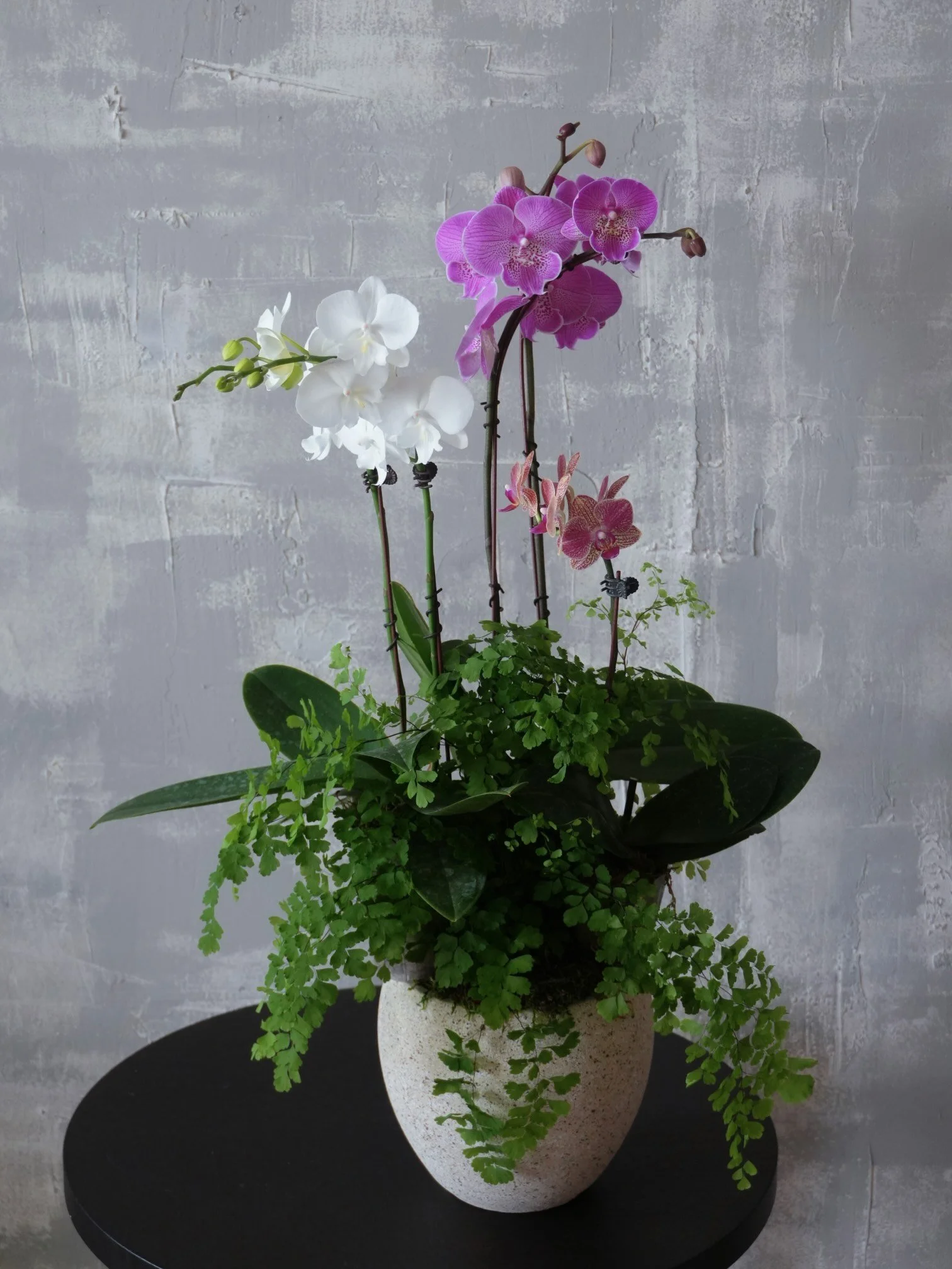 Modern Orchid Arrangement-Pink and thite-1.jpeg