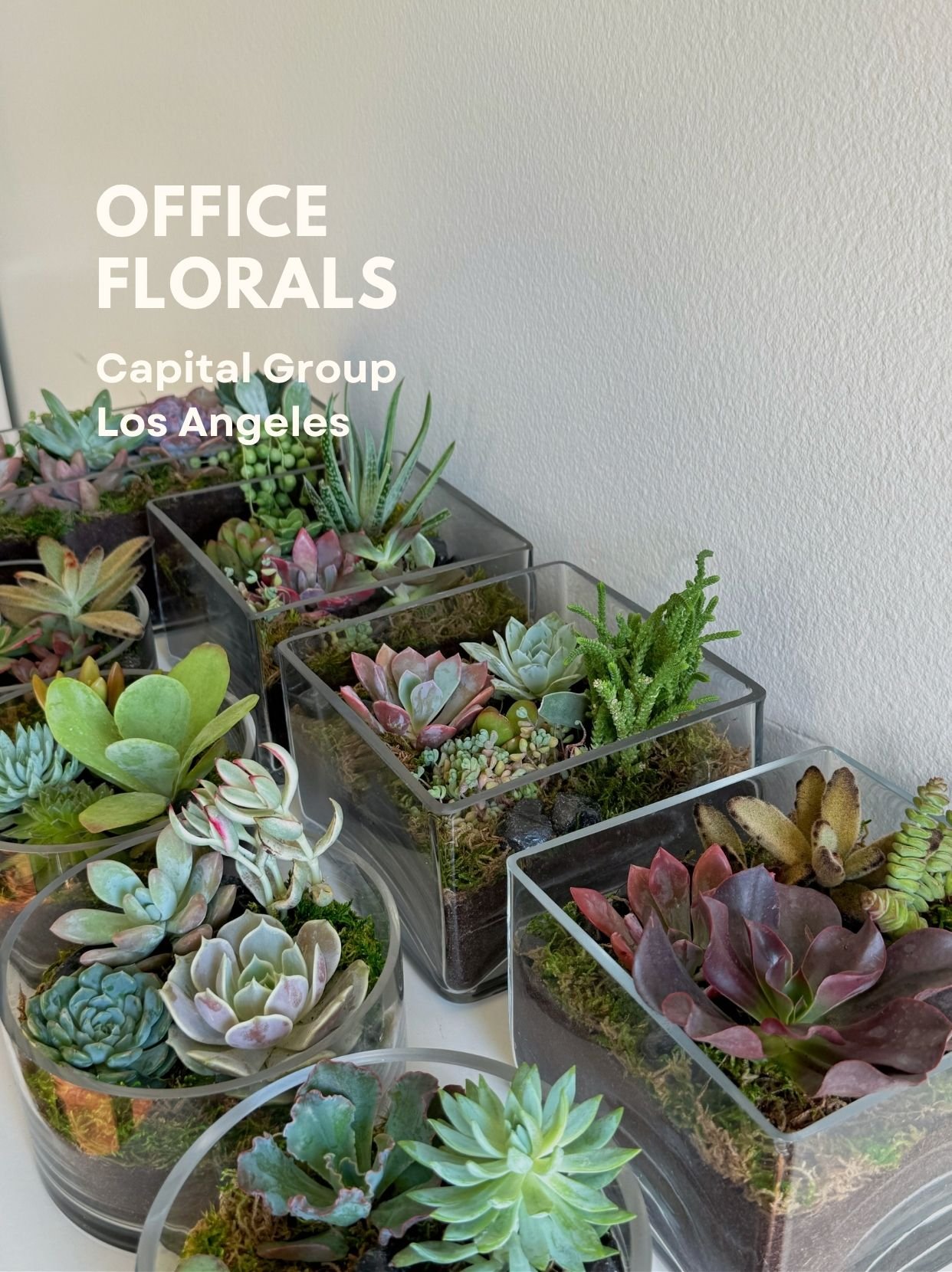 Capital Group Office Florals