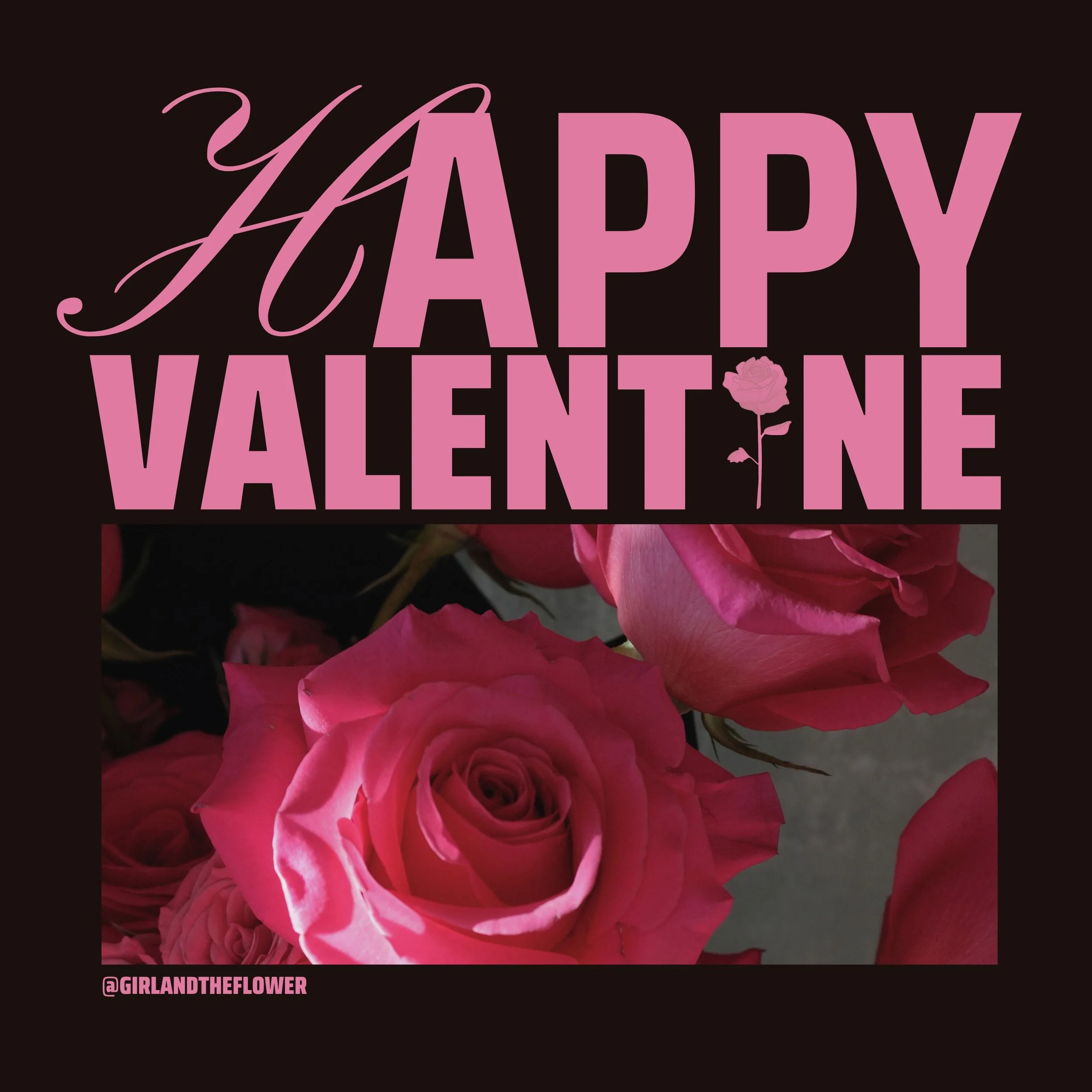 Choosing the Right Rose Color for Valentine’s Day