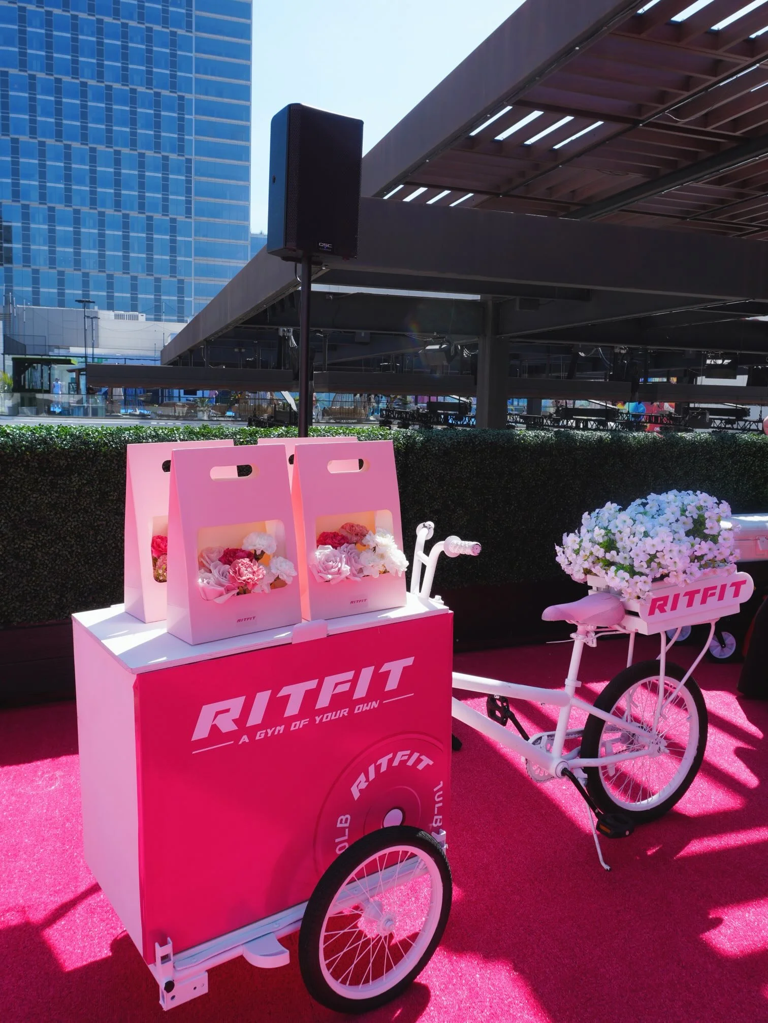 Girl and the Flower-Westfield Century City.jpeg