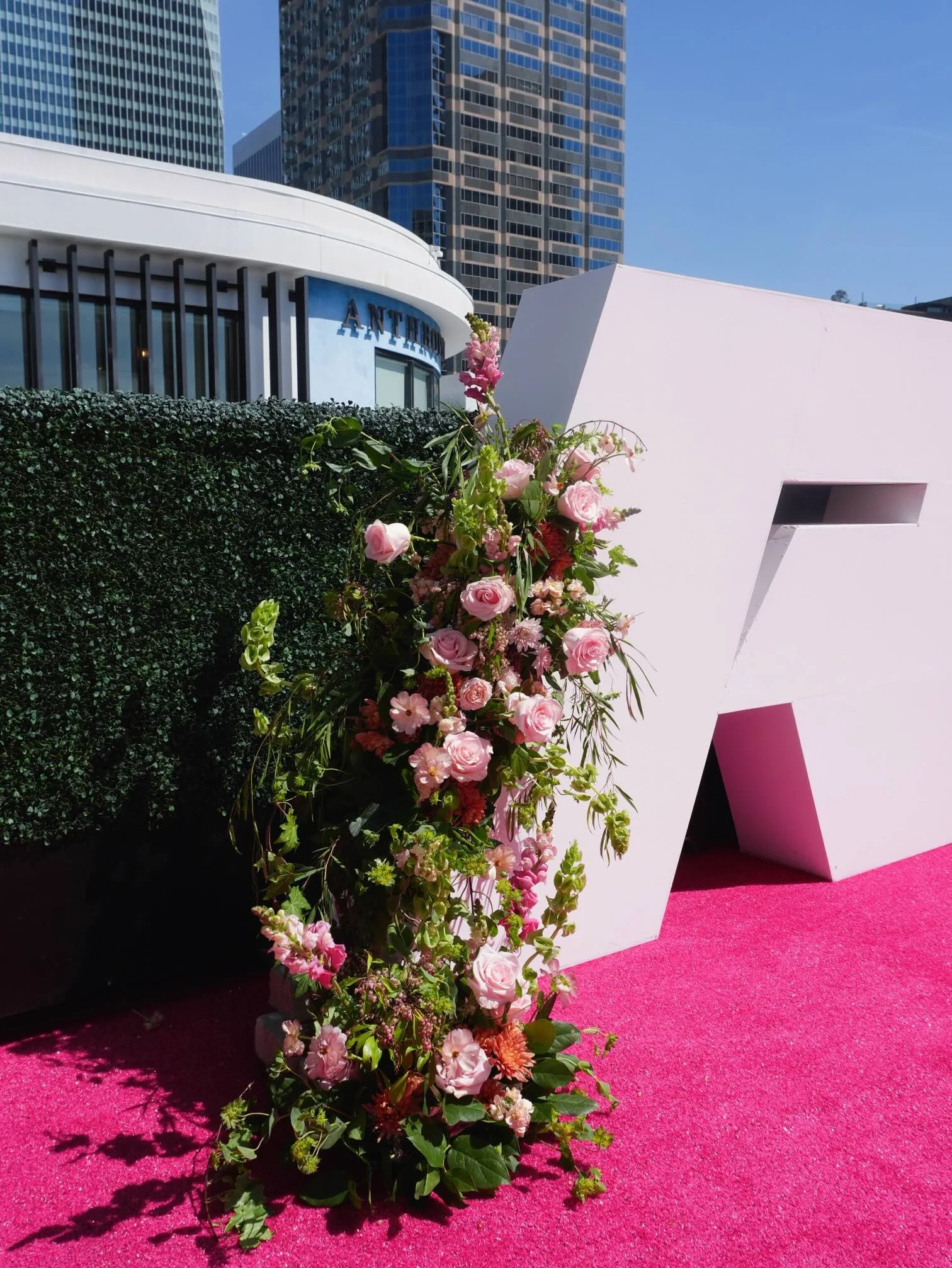 Girl and the Flower-fitness event.jpeg