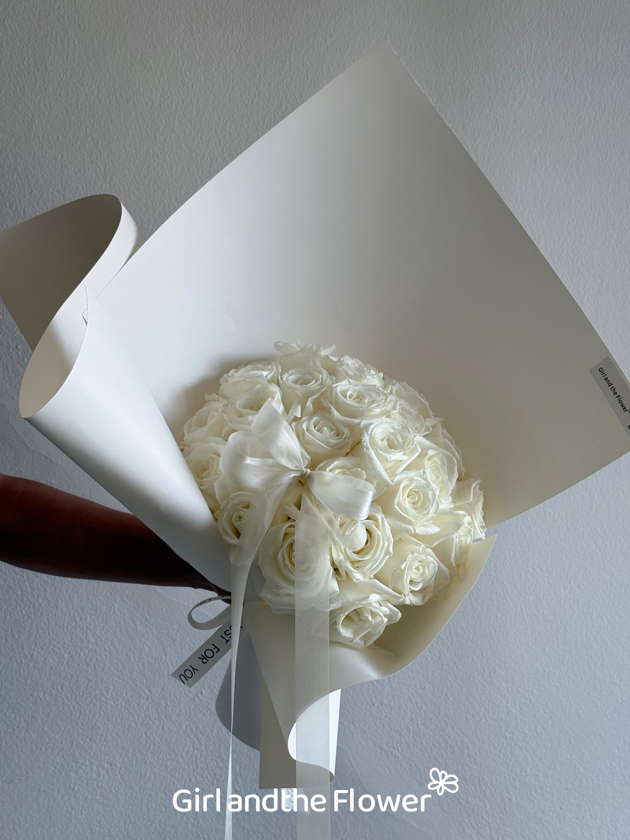 pure white roses
