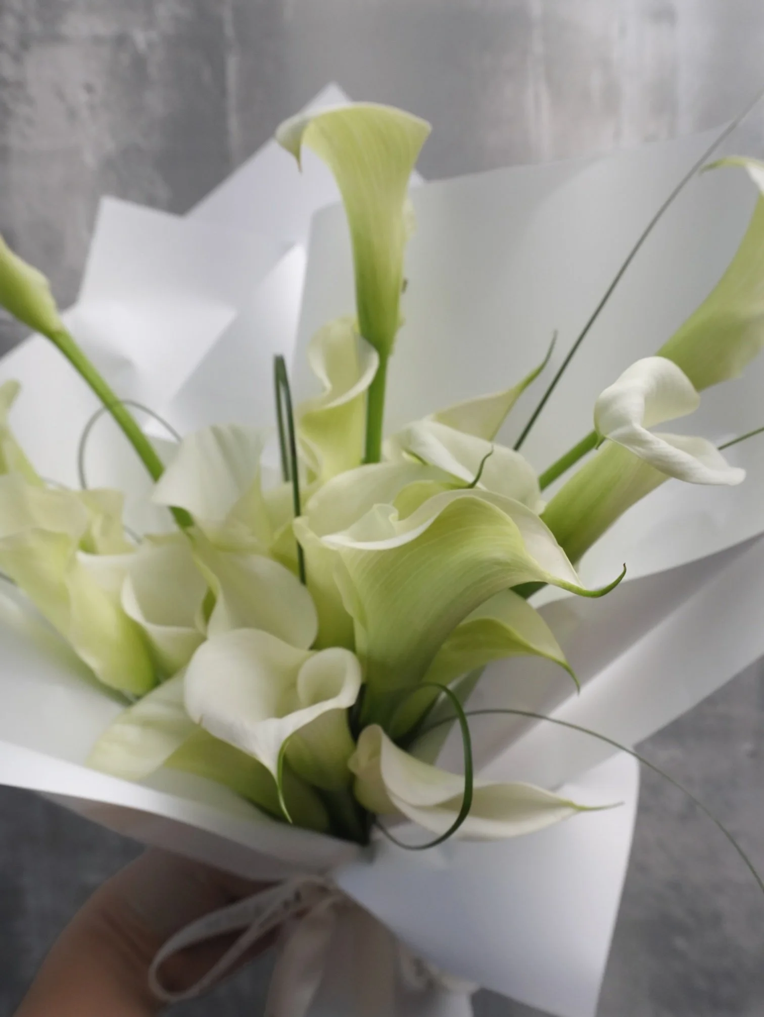 White Calla Lily Close-Up – Sculptural Detail.jpeg