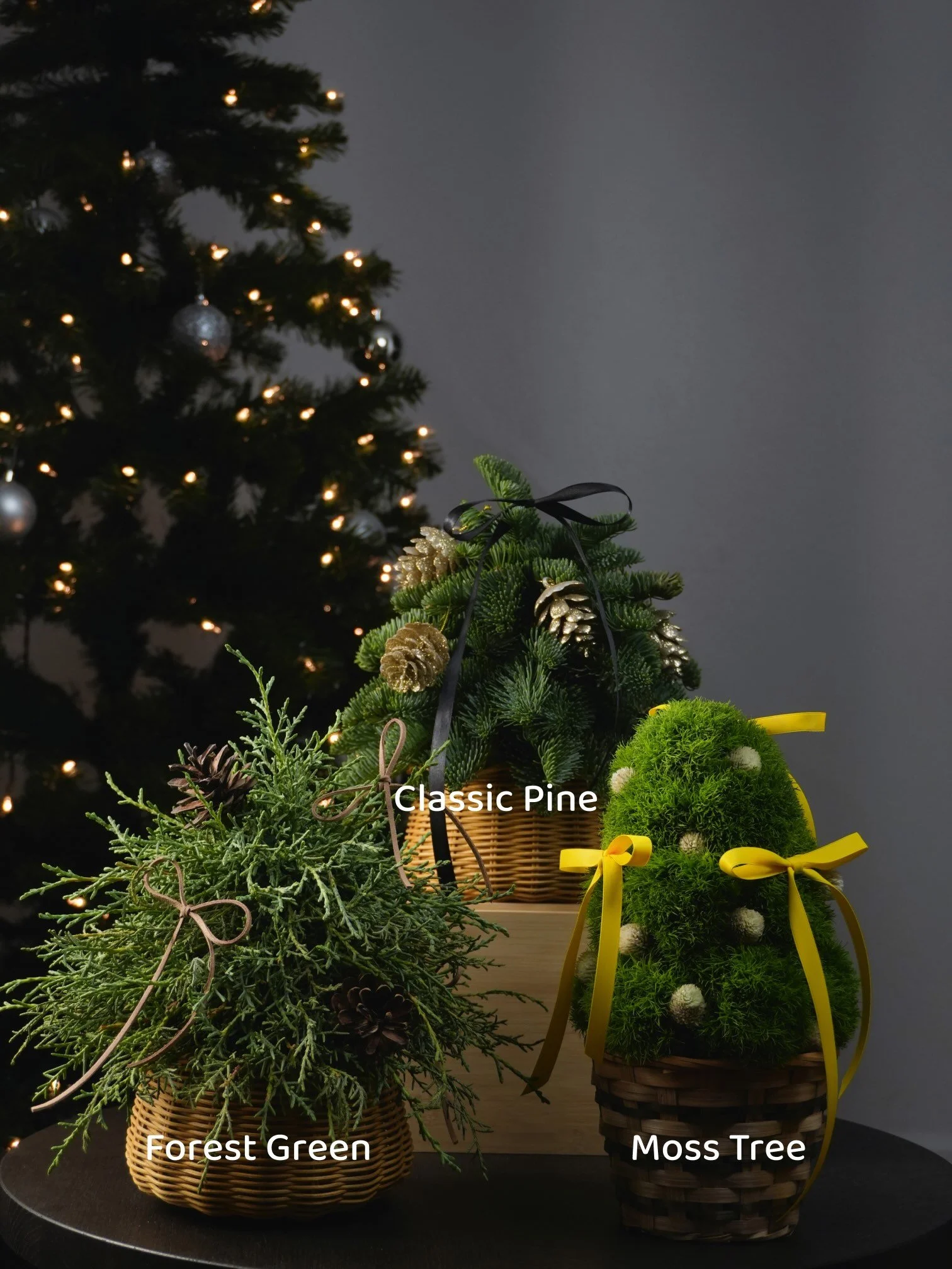 Mini Christmas Trees-Girl and the Flower.jpeg