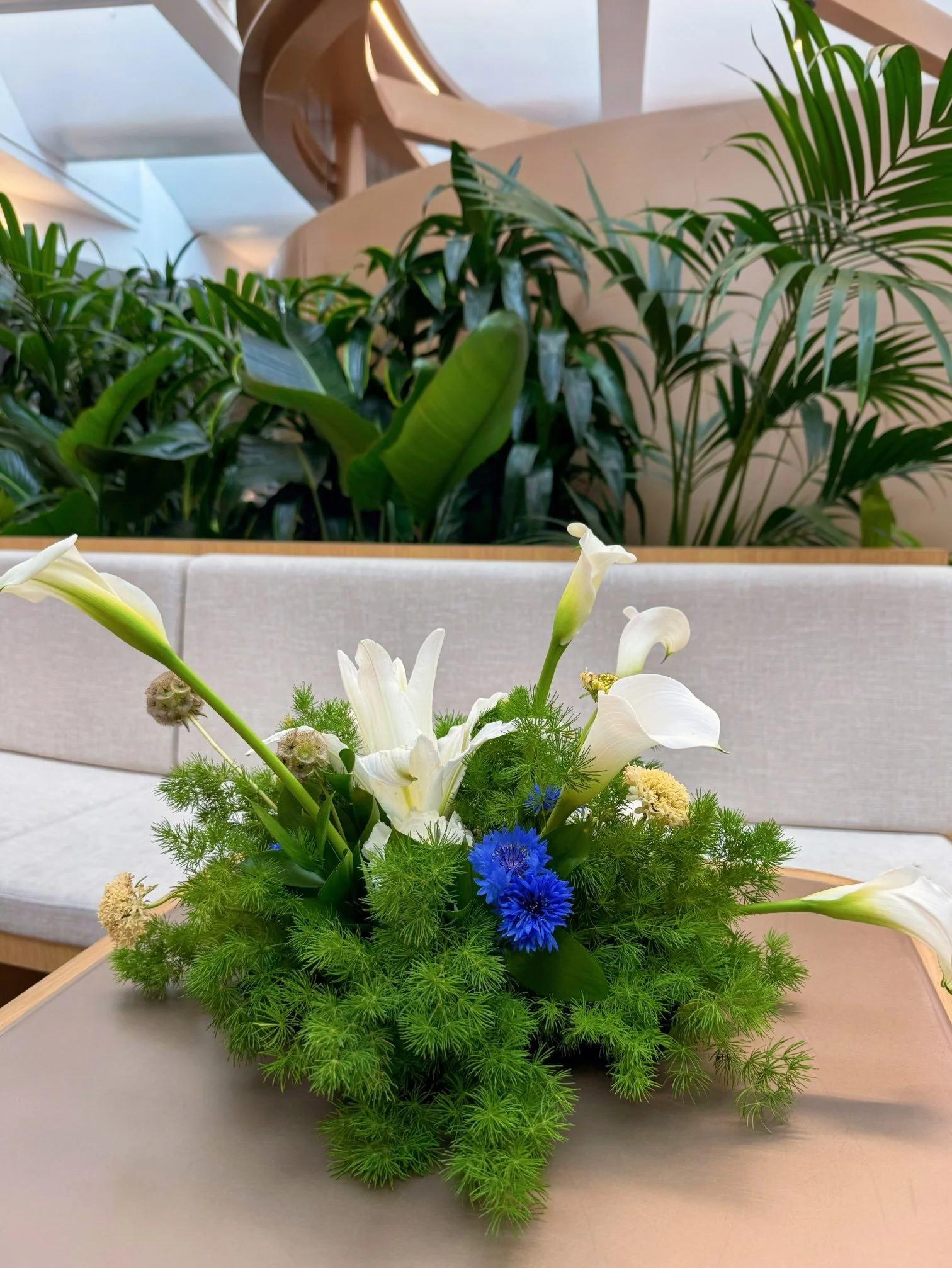 CHAGEE-Torrance, CA-Girl and the Flower-1.jpeg