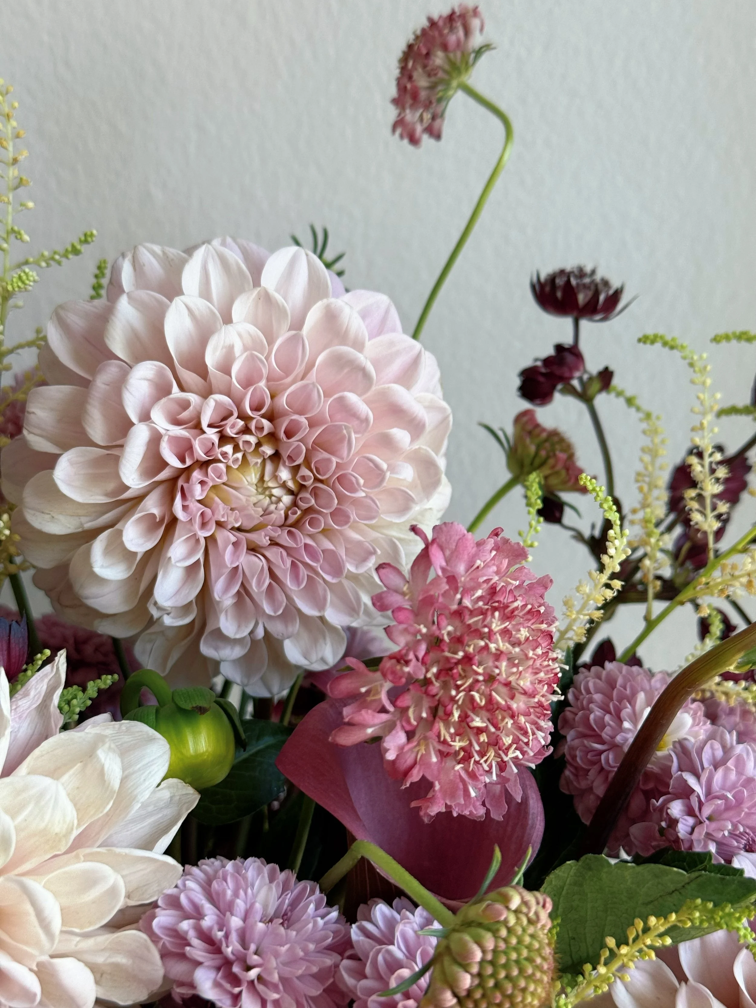 seasonal fresh flowers