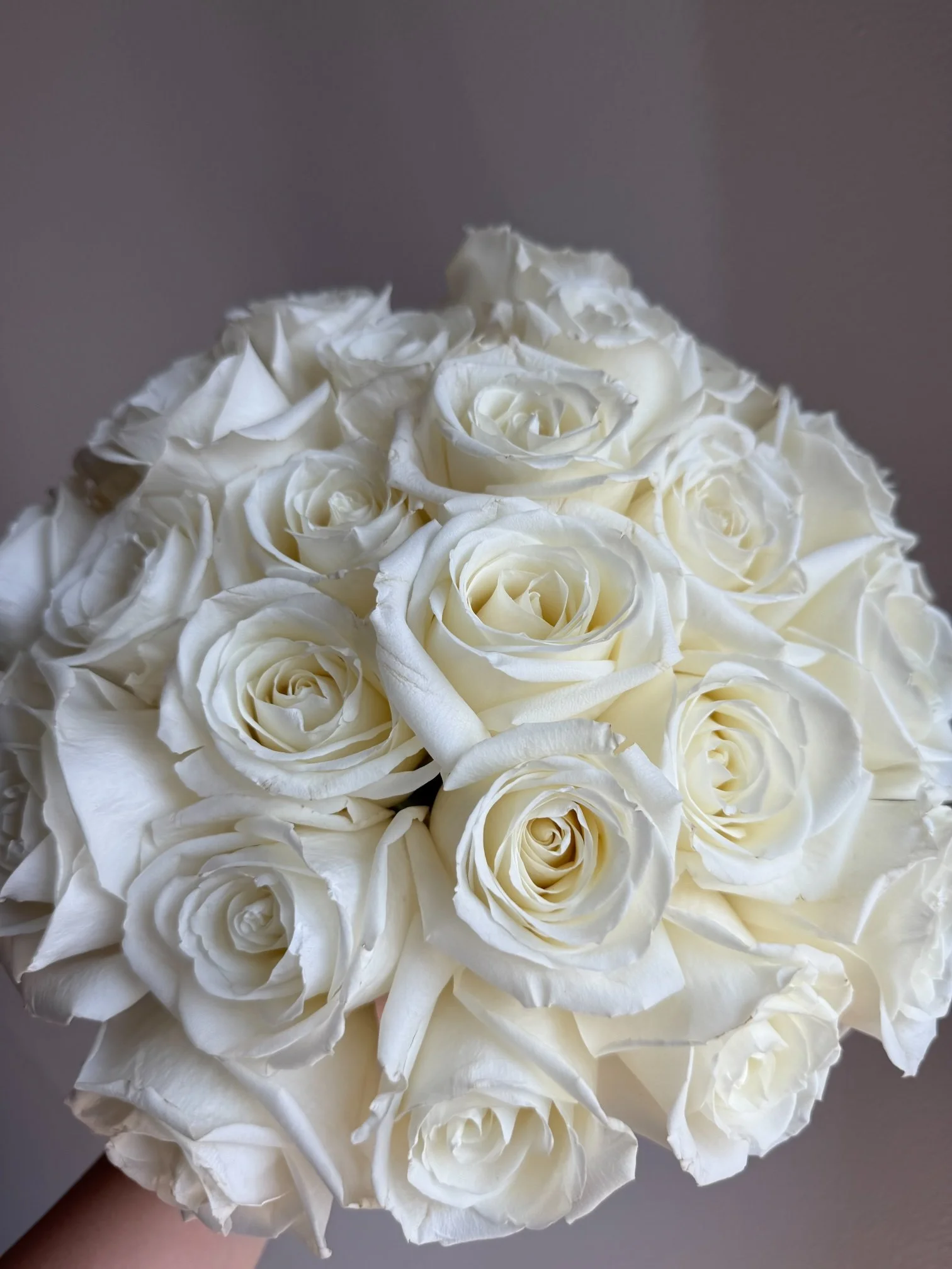 Close-Up of Creamy White Ivory Roses _ Los Angeles Florist.jpeg