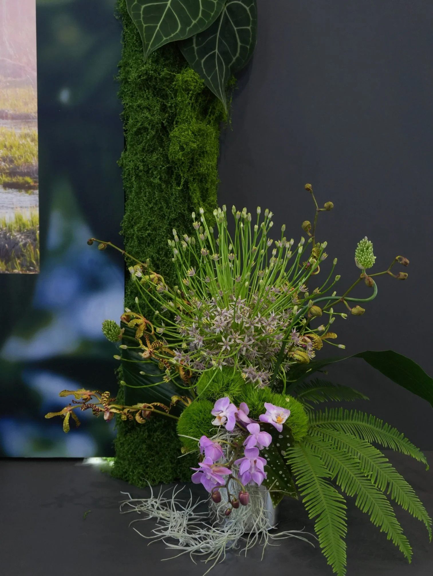 Girl and the Flower-BOE at SID Display Week 2026.jpeg