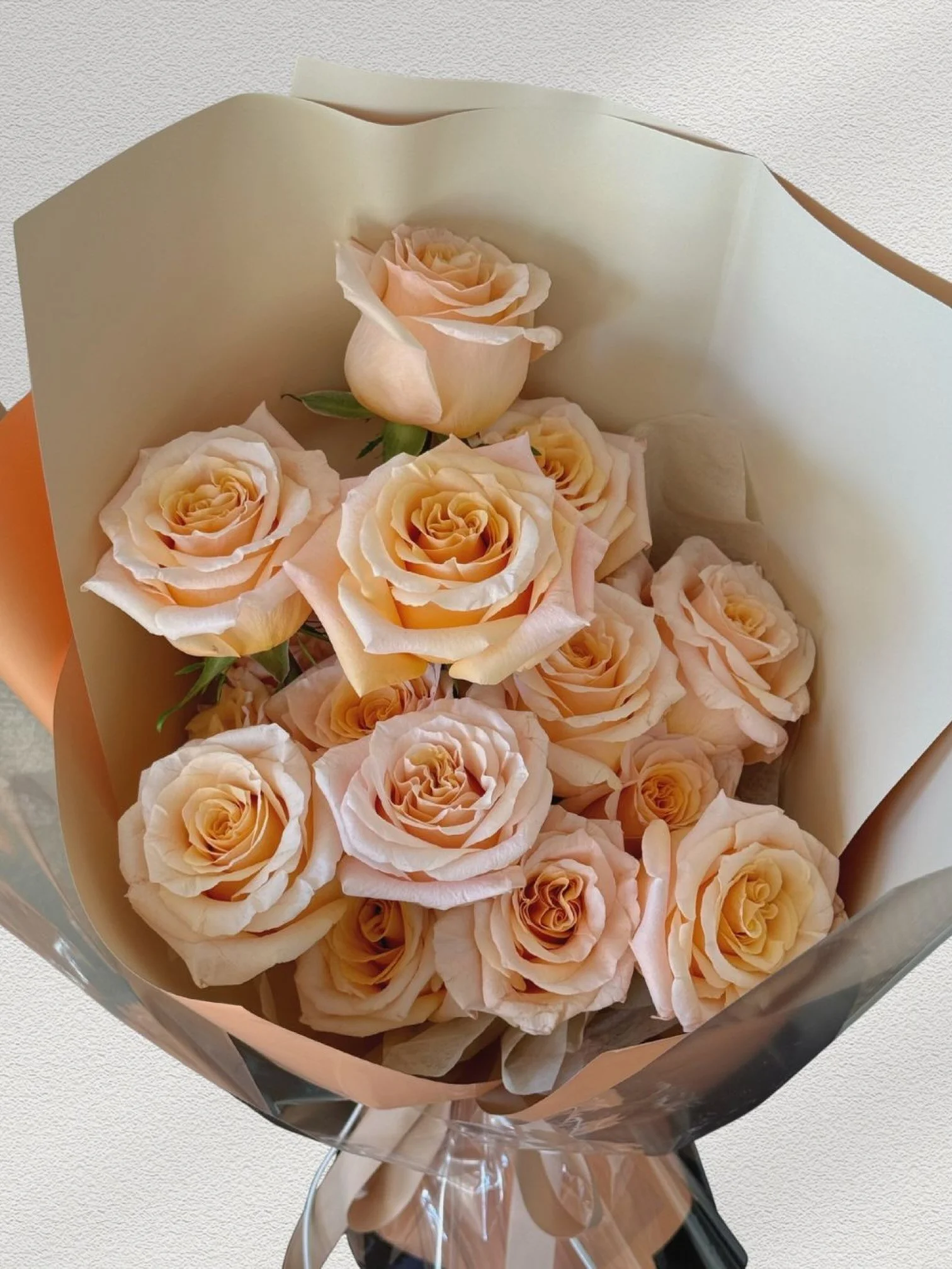 Girl and the Flower-Classic Roses-Champagne.jpeg