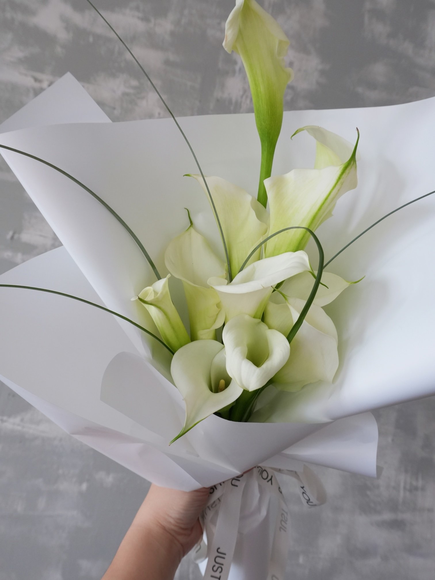 Classic Calla Lily