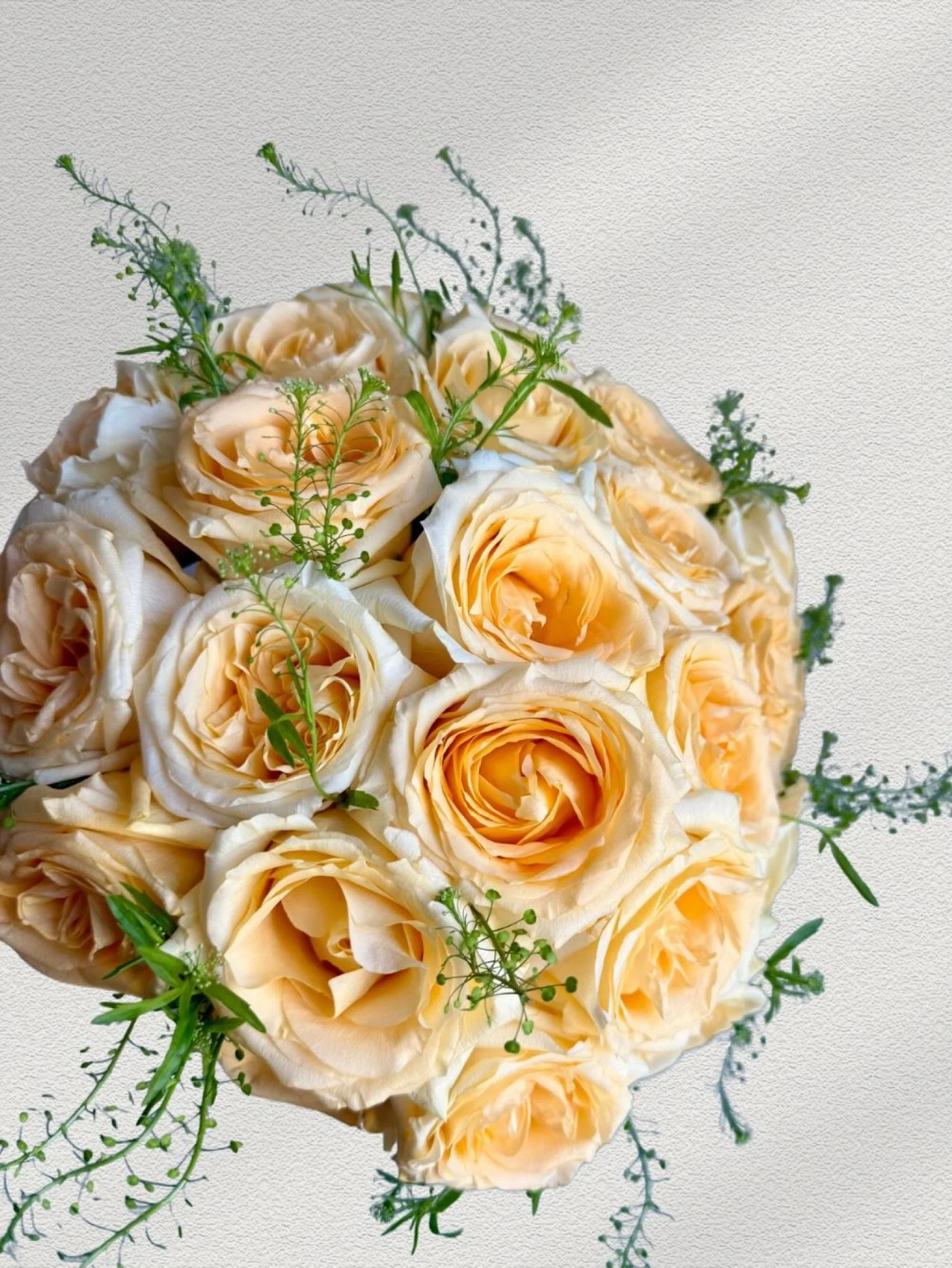 Girl and the Flower-Classic Roses-Yellow.jpeg