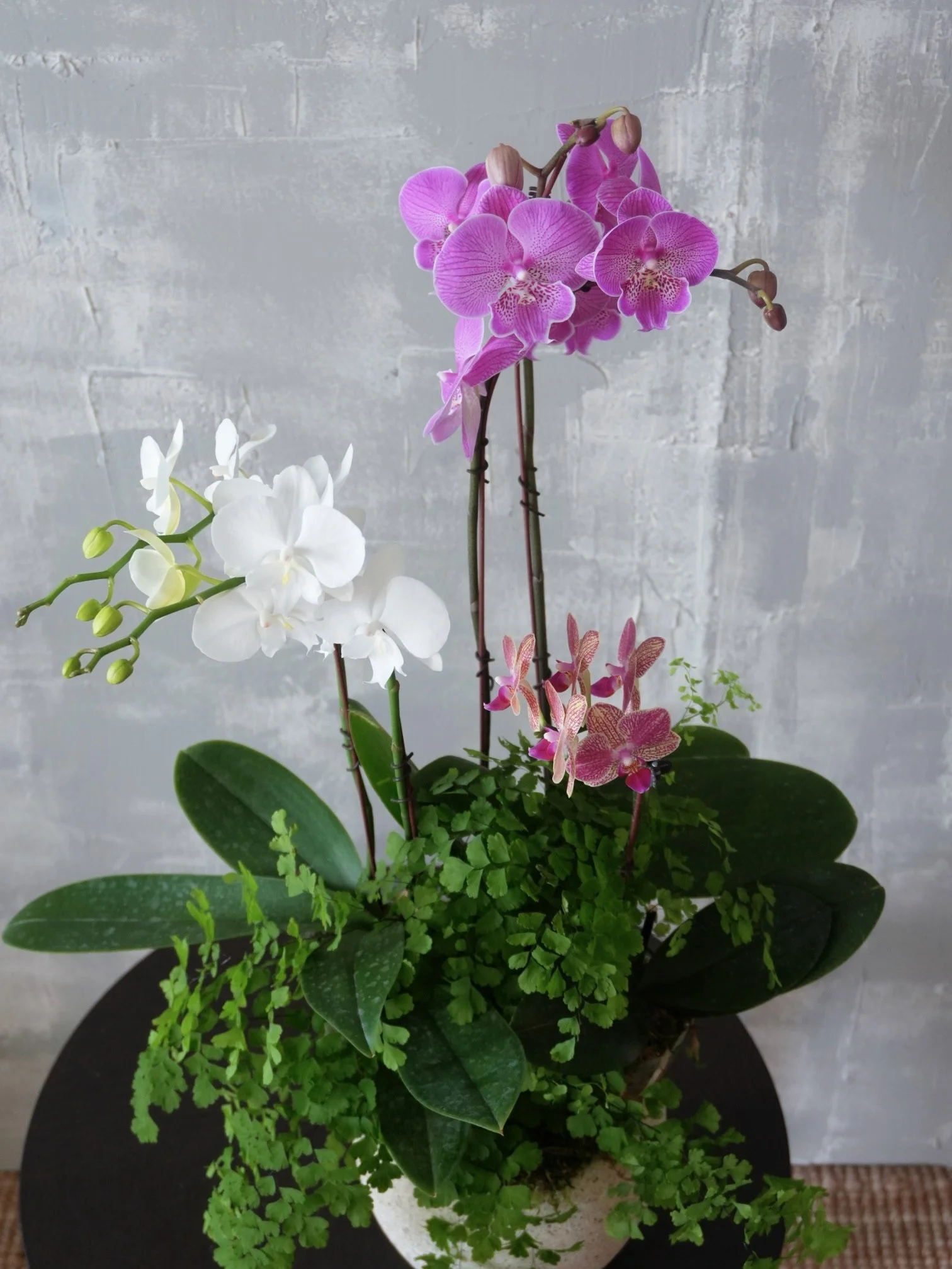 Modern Orchid Arrangement-Pink and thite.jpeg