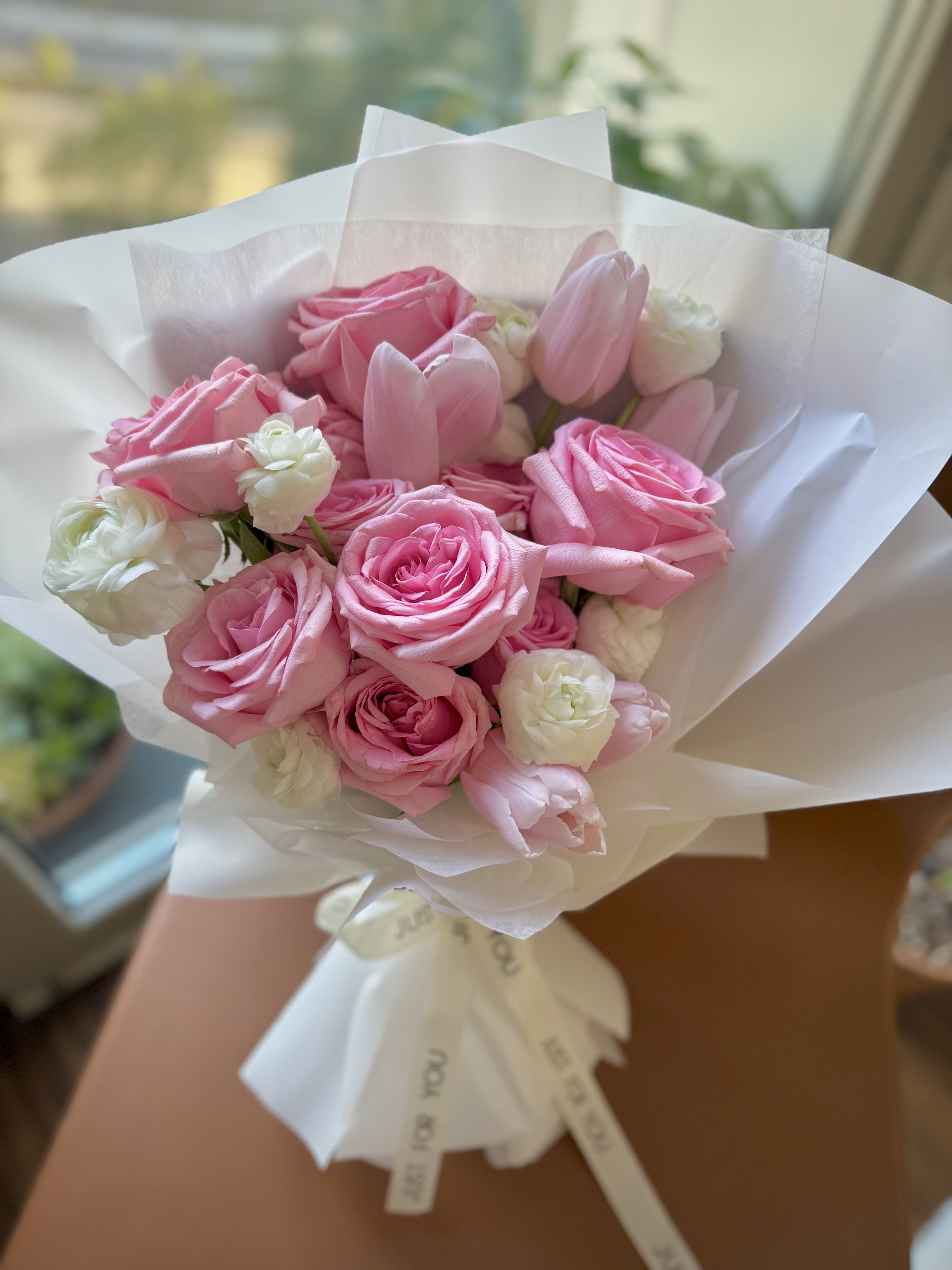 IMG_2083.jpeg