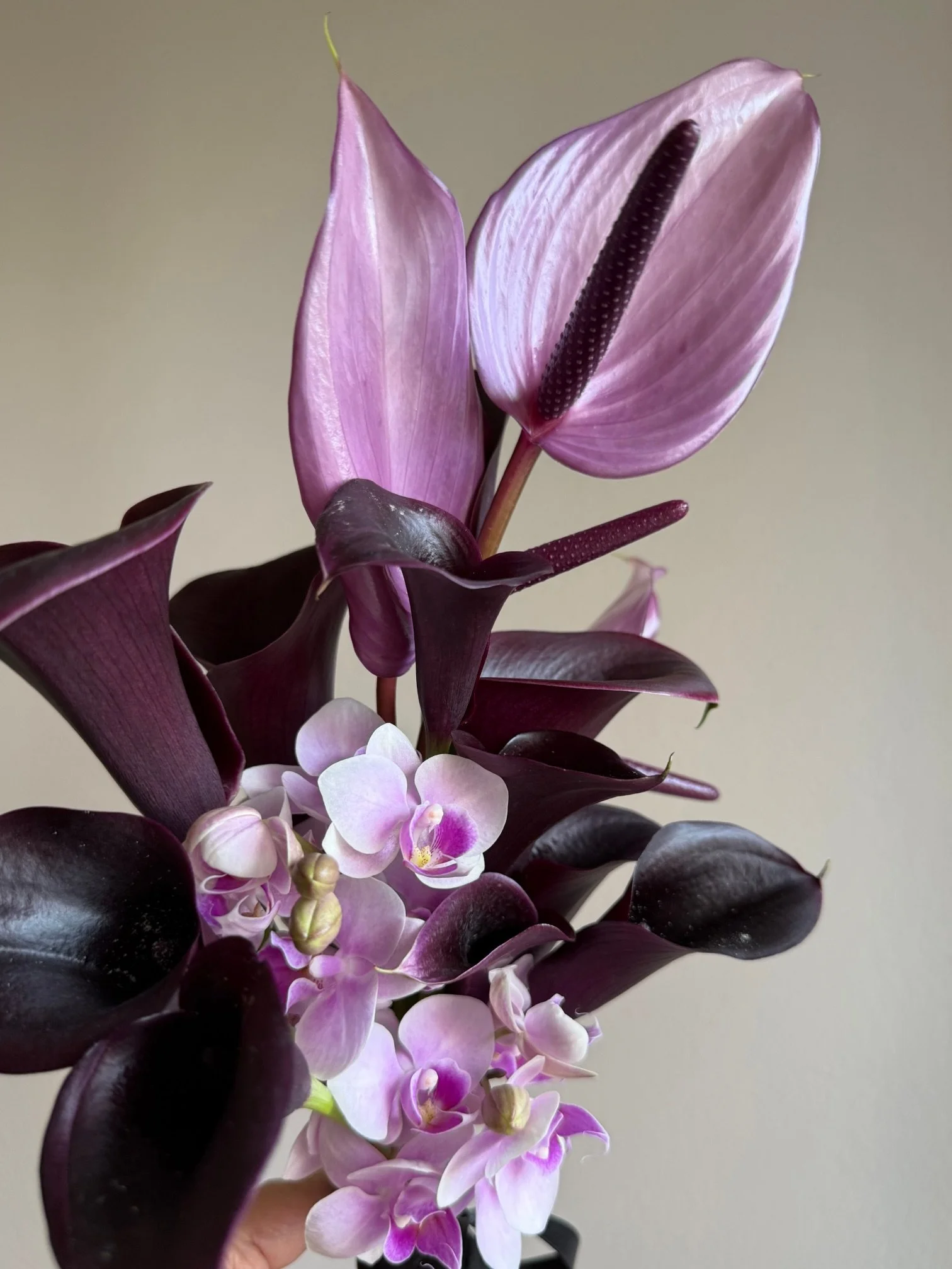Los Angeles Florist-Black Purple Bouquet.jpeg