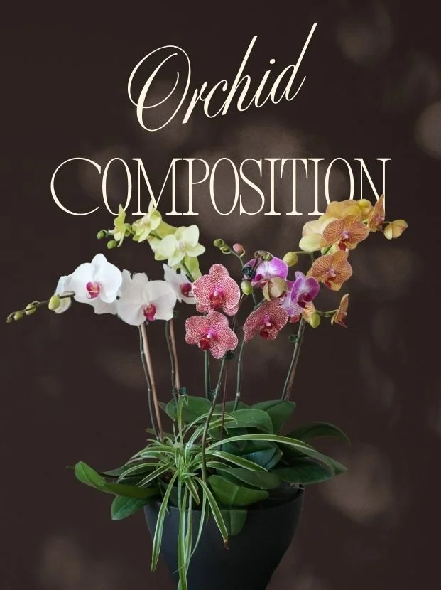 Custom Orchid Designs