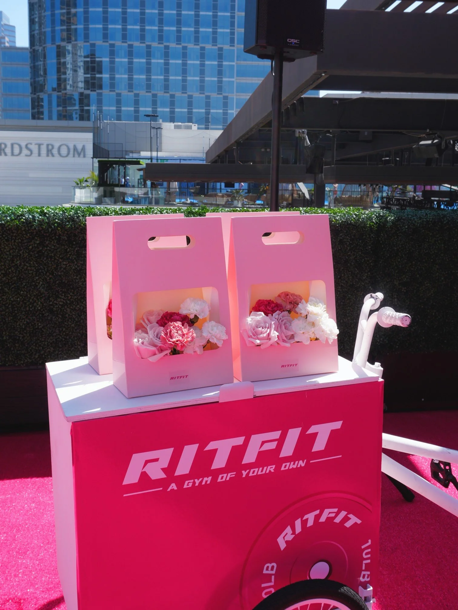 Girl and the Flower-Westfield Century City-LA.jpeg