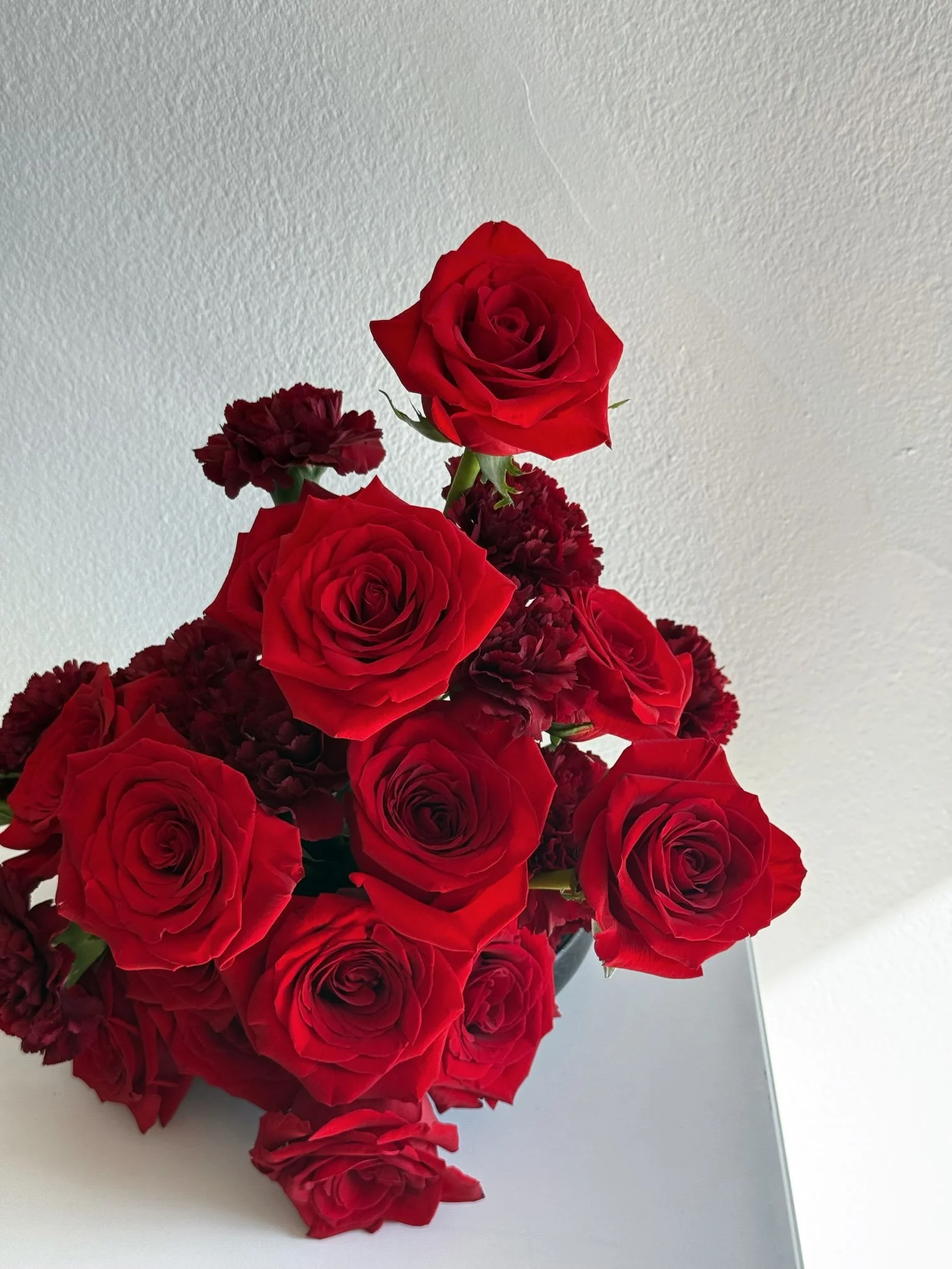girl-and-the-flower-classic-long-stem-red-roses-los-angeles.jpeg