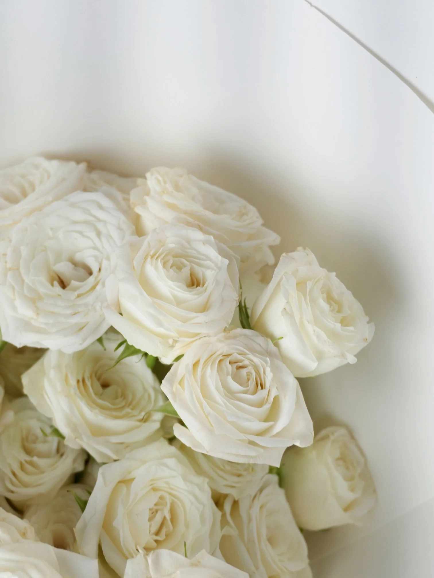 White Roses Close-Up – Winter Floral Design Detail.jpeg