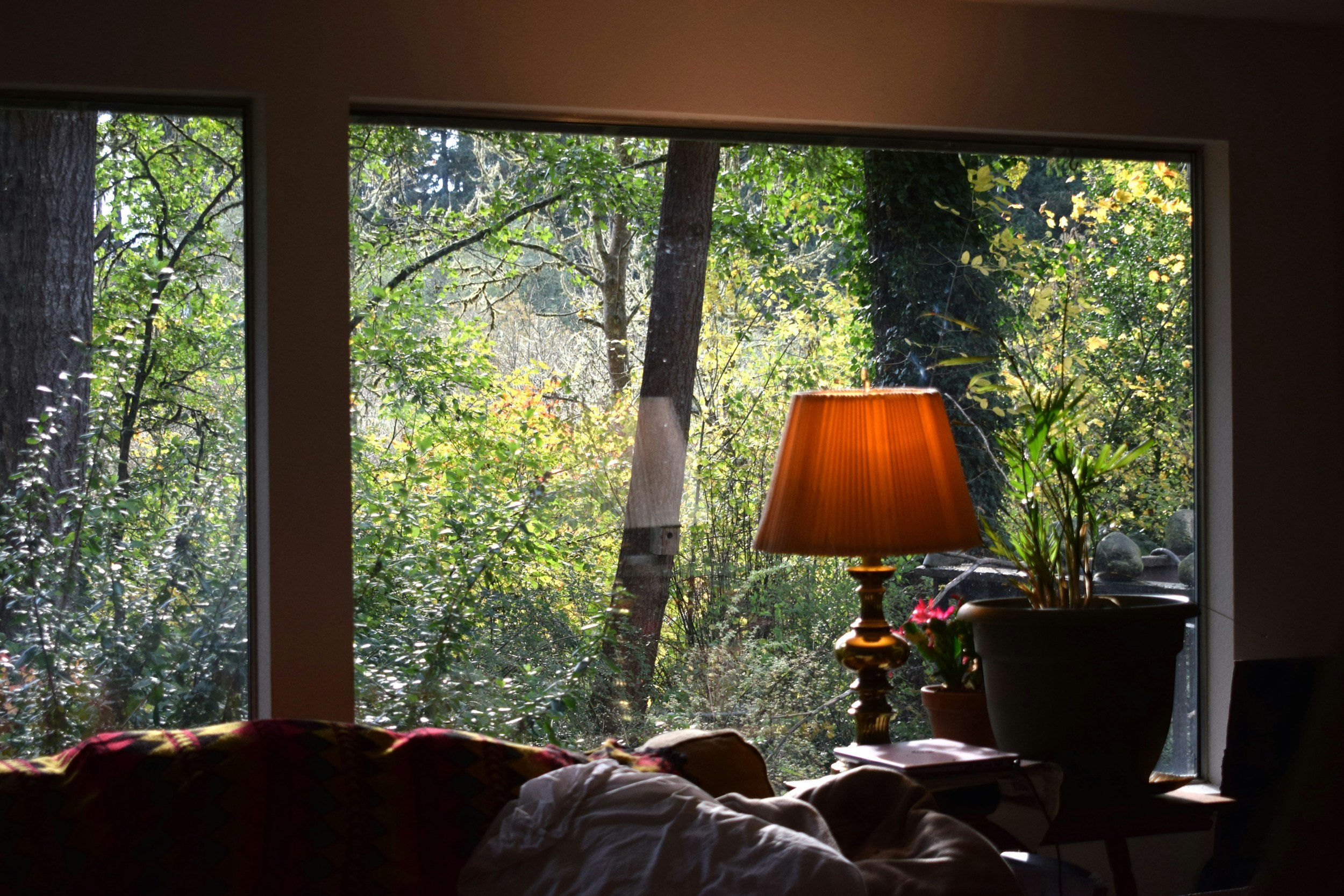 Soft morning light through a window representing high functioning burnout and the need for rest