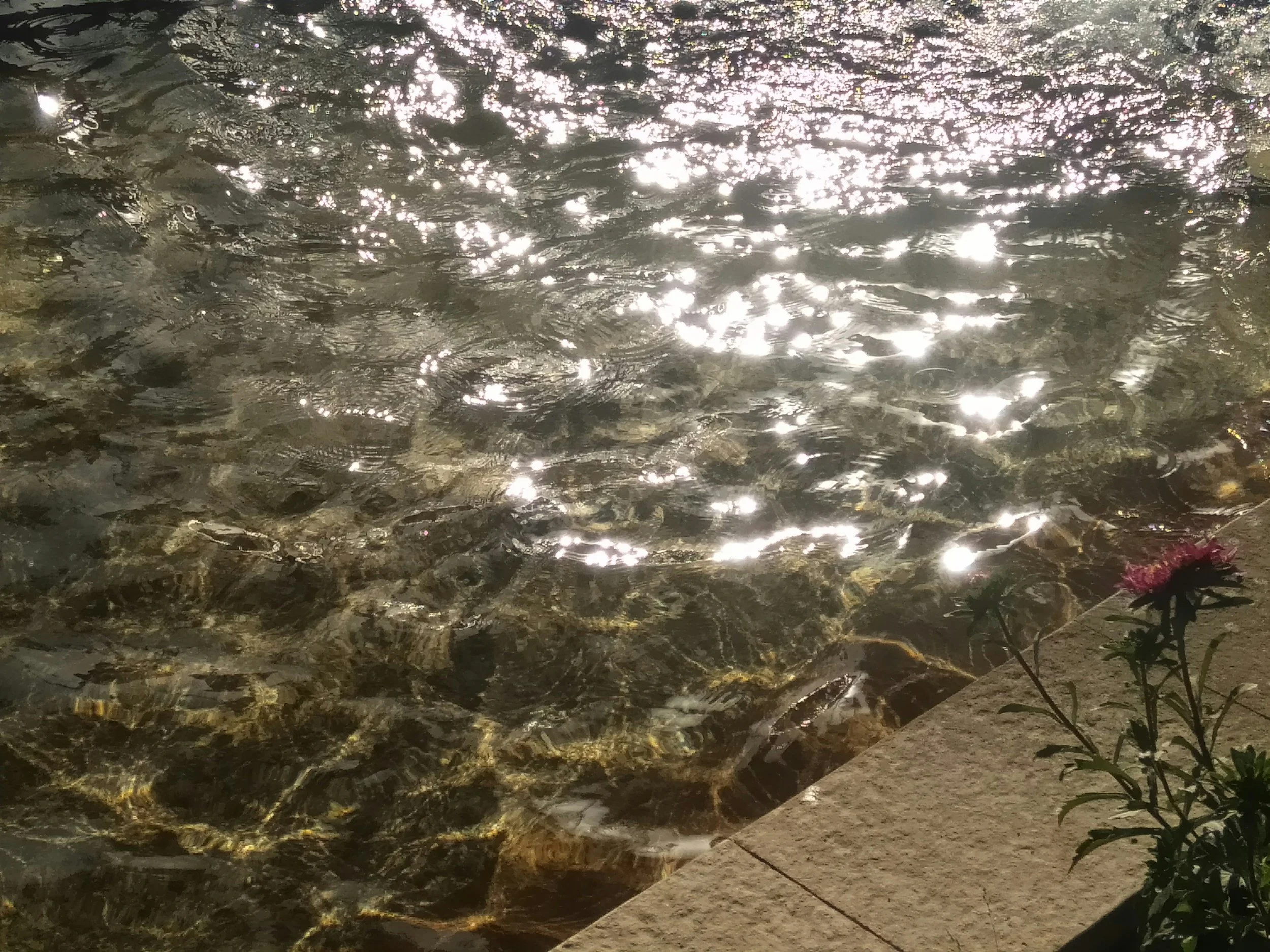 Calm water and reflected light representing nervous system regulation and stress recovery