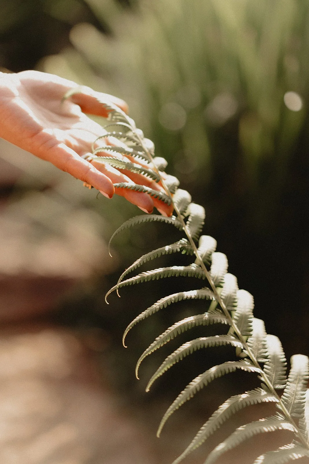 Calm nature scene with a hand gently touching fern leaves, New Leaf with Nisha website