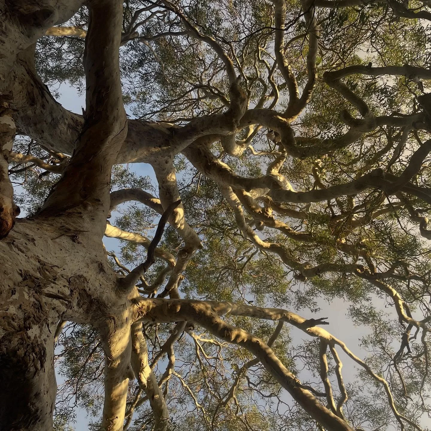 Not weaving has been nice but also I&rsquo;m a bit lost. I seem to be on my phone more. Searching for inspiration, finding a new hobby I could try. 
I&rsquo;m unsure what I&rsquo;m doing. Releasing what is comfortable is hard. 
I don&rsquo;t like it.