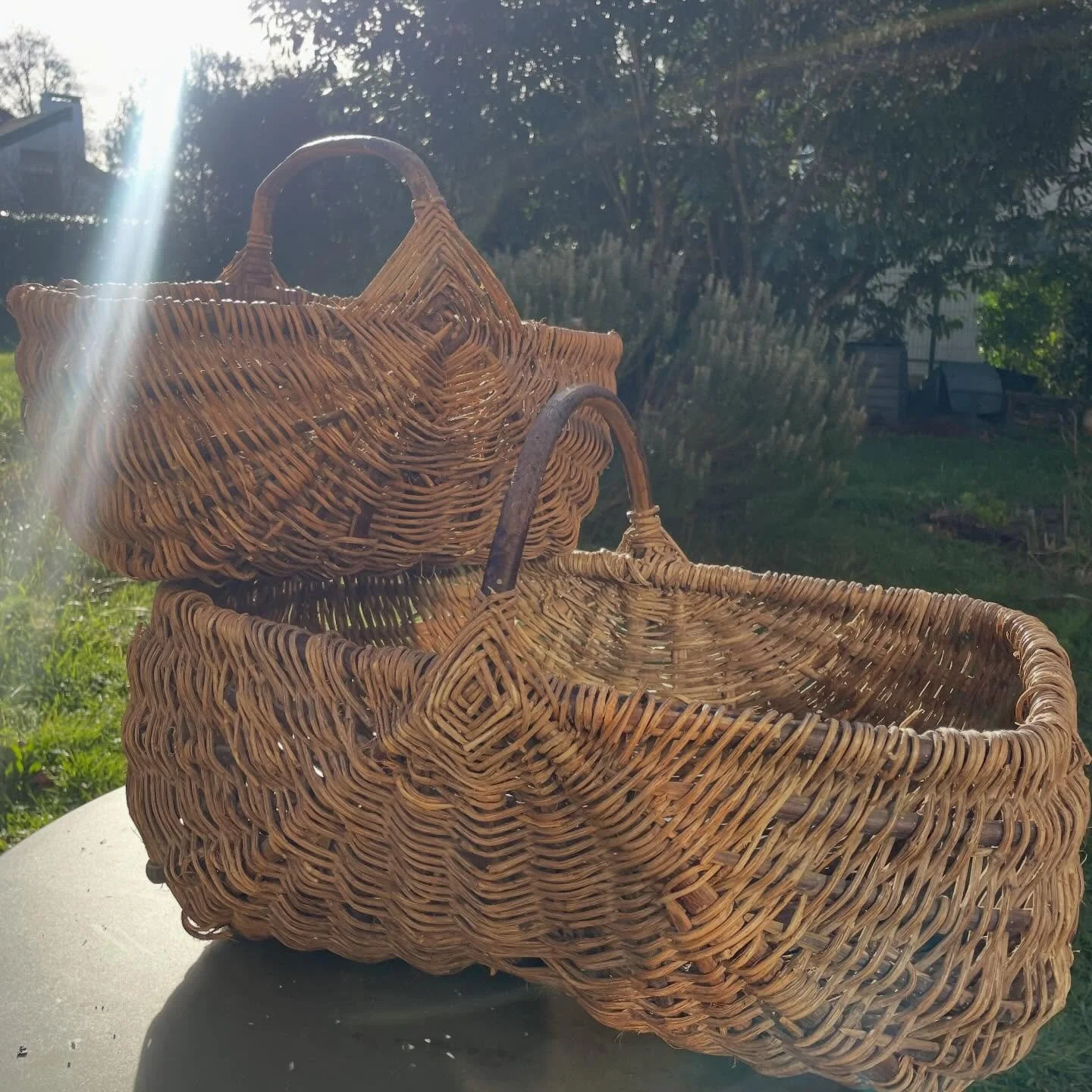 2 years ago I came to France and saw these gorgeous baskets in need of love and repair. They are at least 100 years old and have been in my MIL family for a long time. 
I spent a few days weaving ivy into the gaps, attempting to rebuild the structure