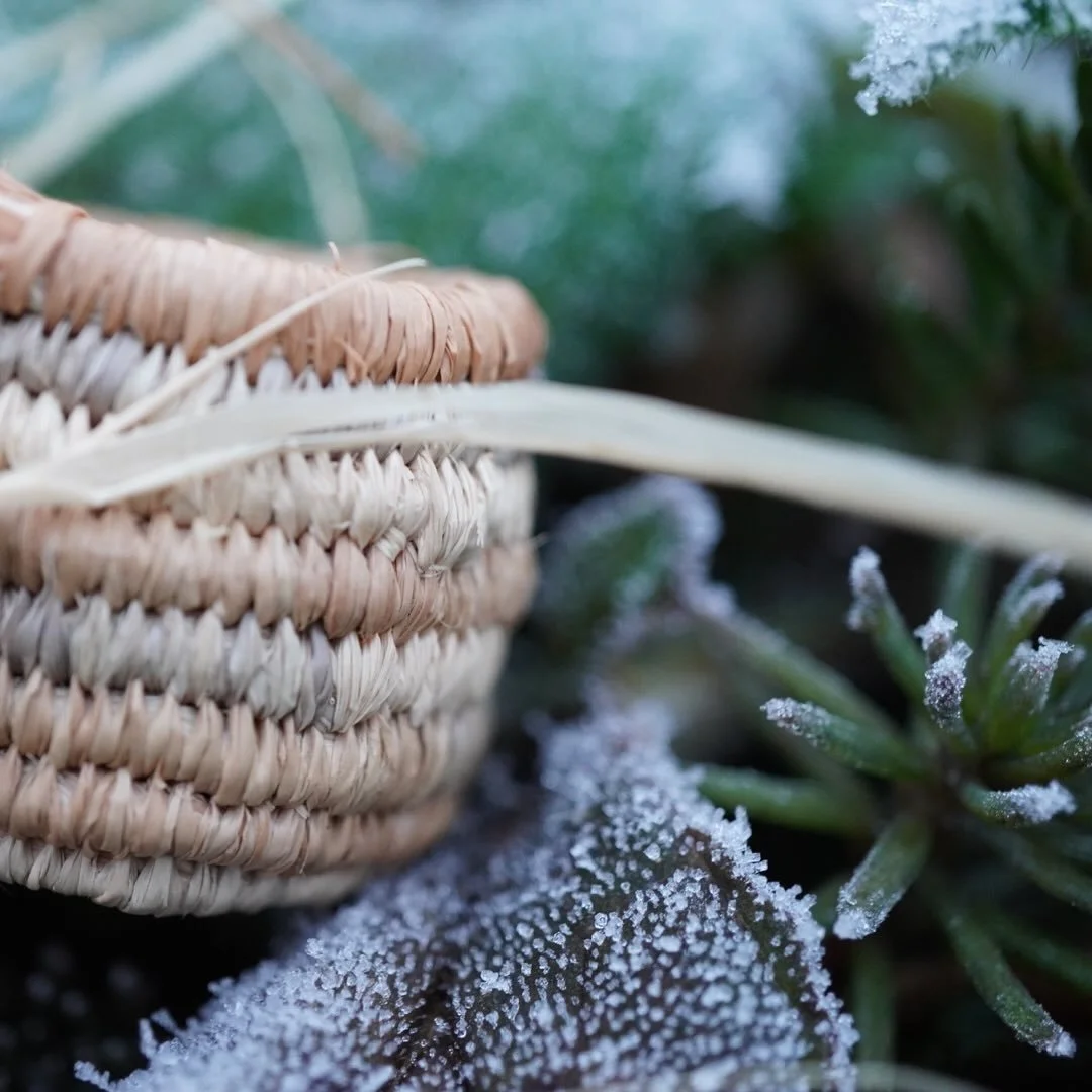 Another little frosty moment on a fresh morning in France making a little basket for tiny treasures.