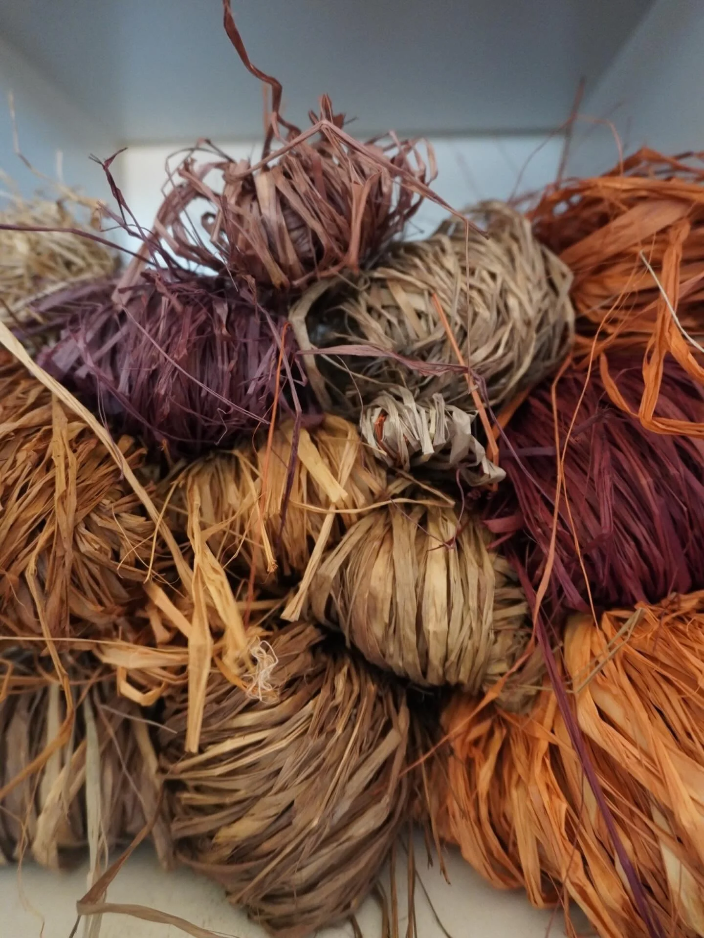 How glorious are these colours 🦋