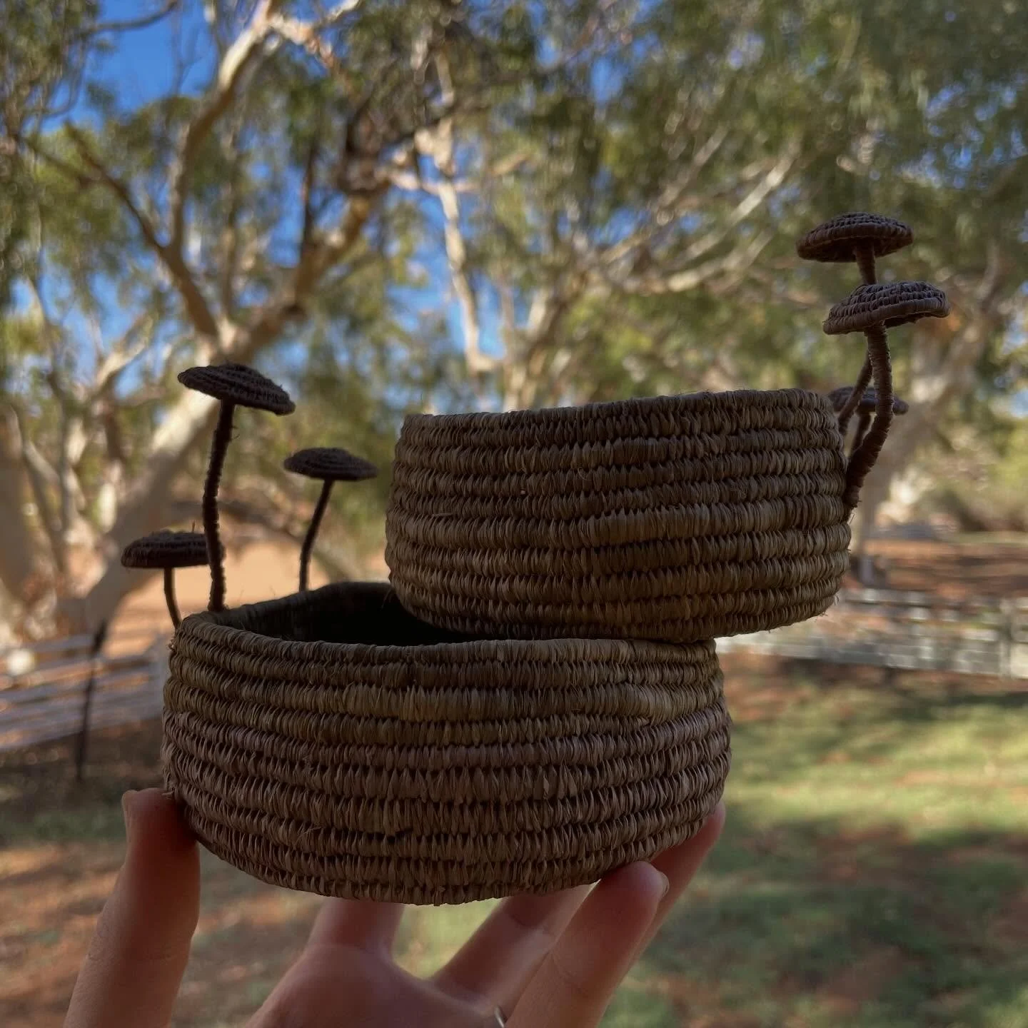 Another basket joins the family.