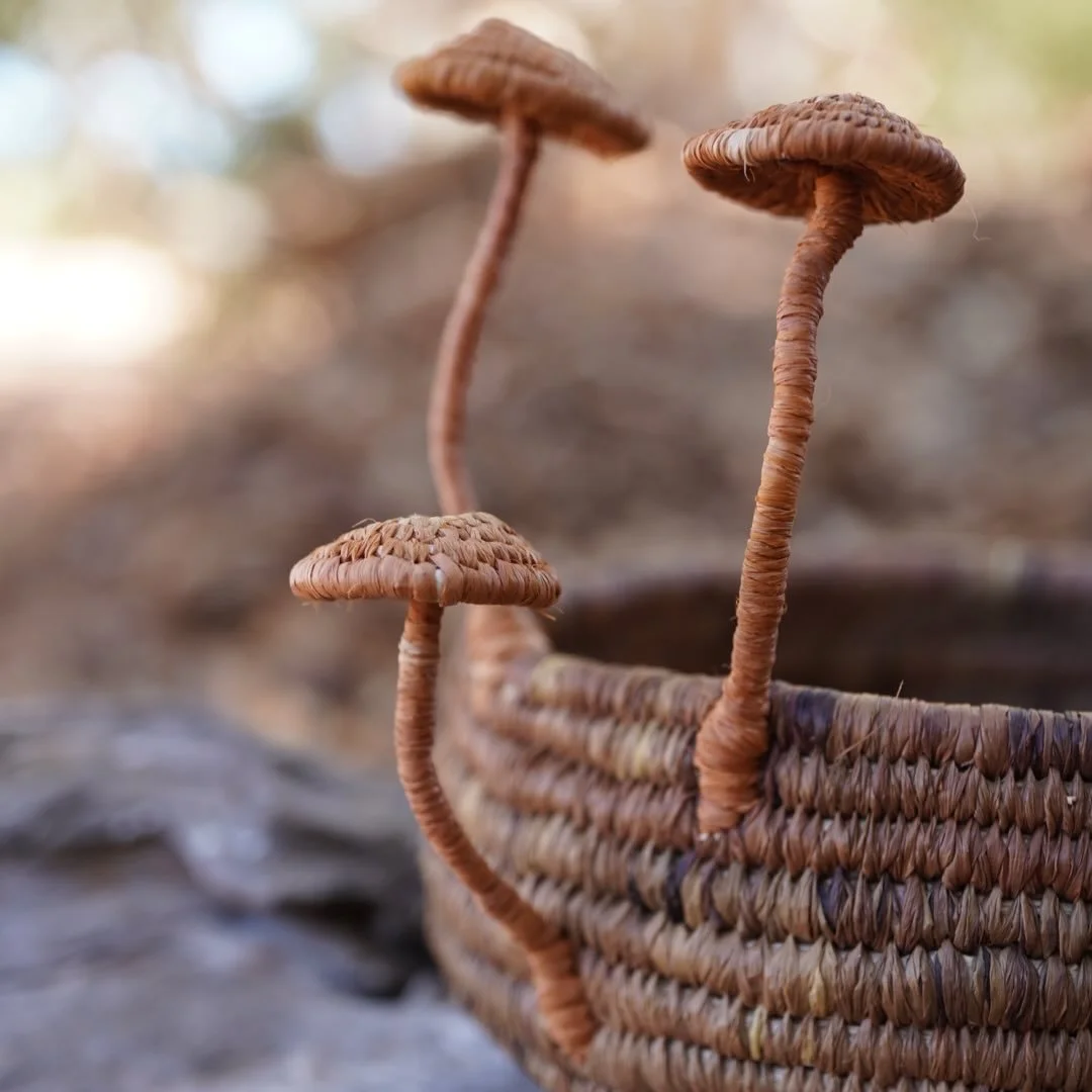 I wasn&rsquo;t sure what orange would look like but I am loving it ✨