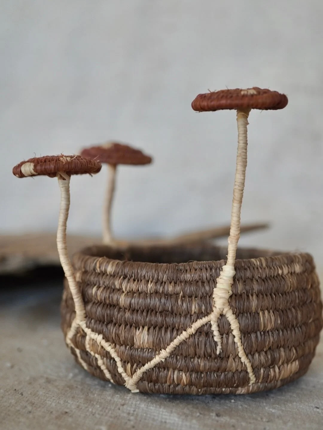 Having a play with some fungi and some mycelium vibes.