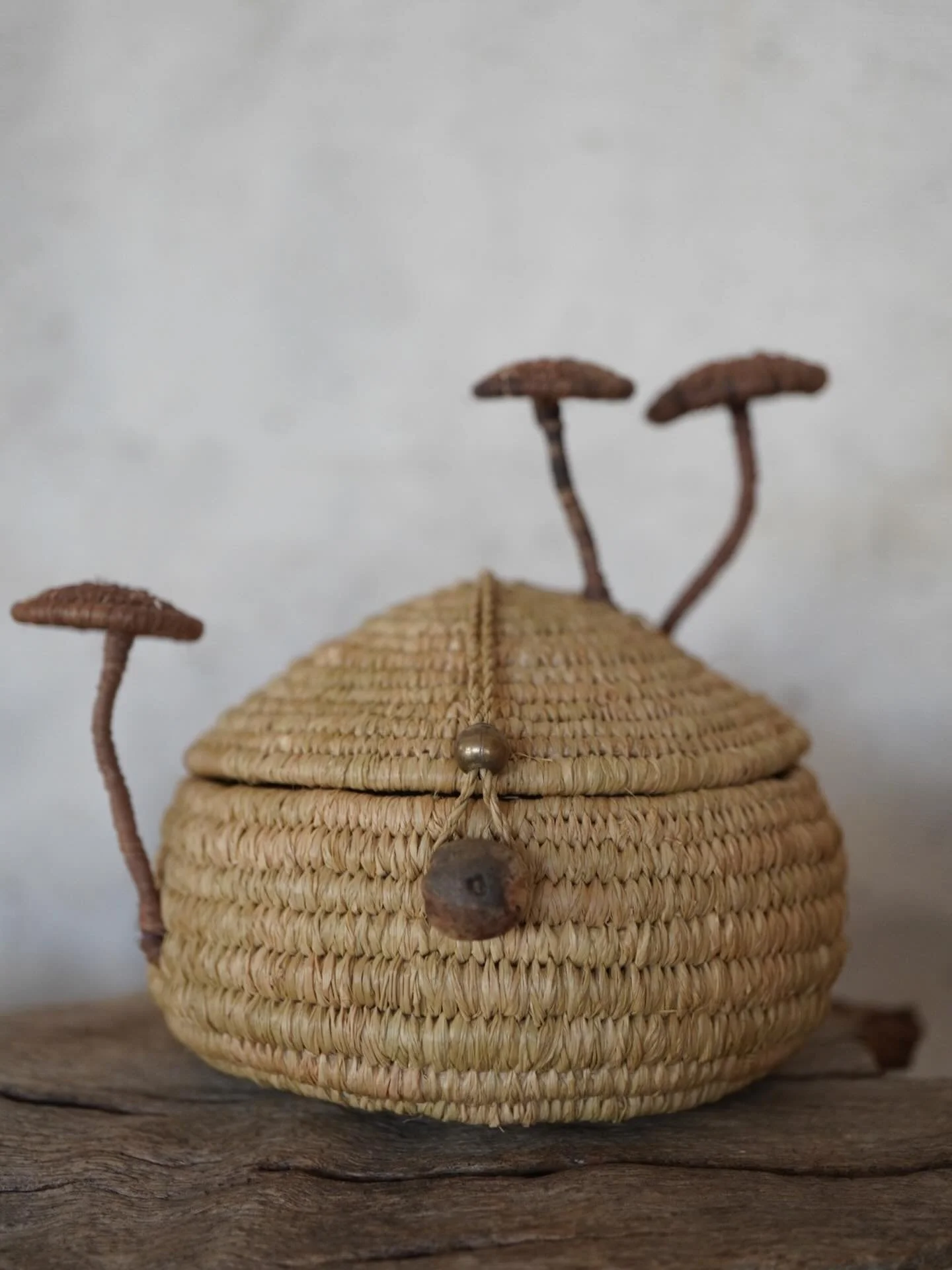 Fern dyed raffia basket with cute little mushrooms. Isn&rsquo;t she gorgeous. 
Recent feed back said she looked like a fairy house. Which has now inspired me to want to create a fairy house. 🧚 
Stay turned