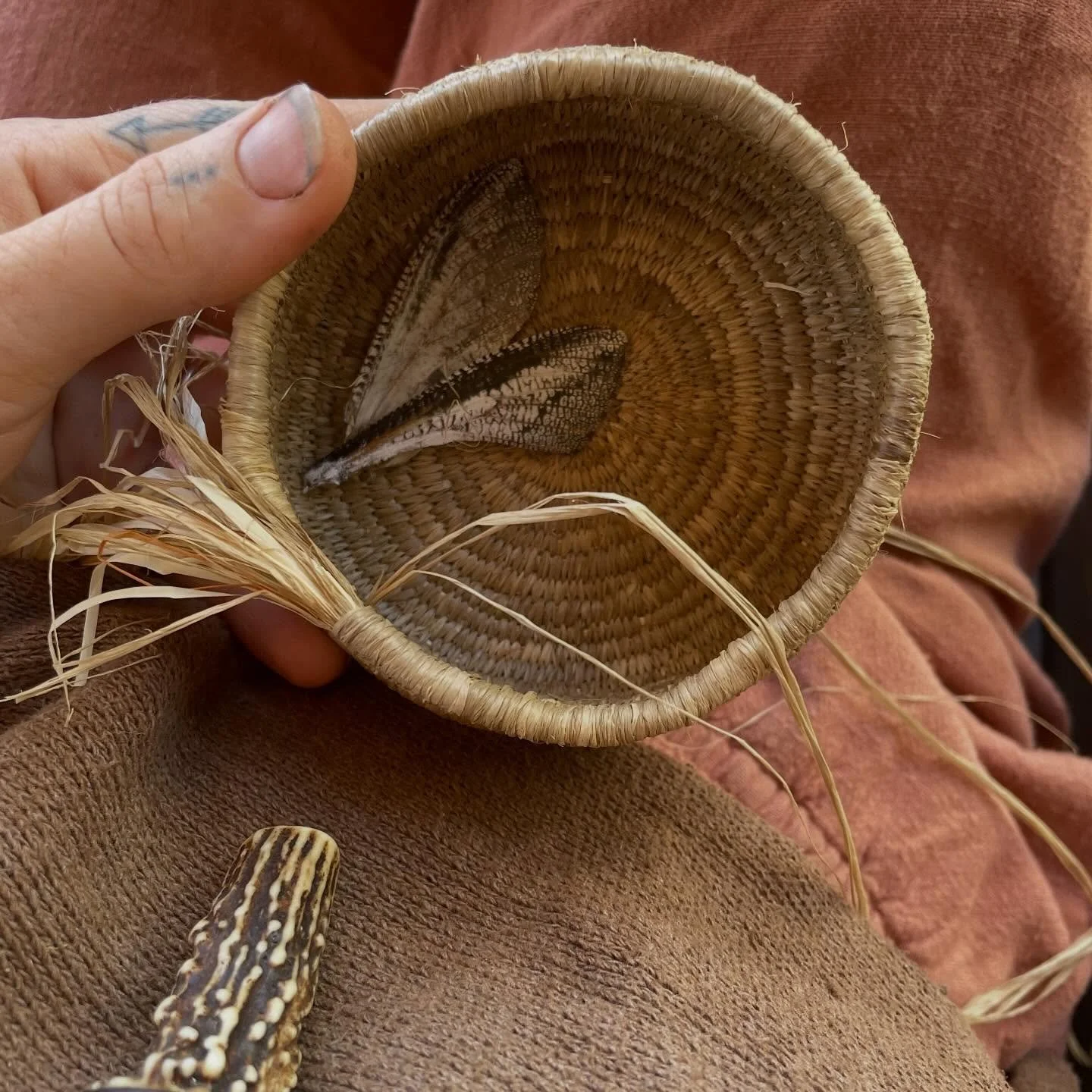 As I wove this basket I made a friend. 
A reminder of why I weave. 
Weaving is a connection to nature, community and ourselves. 
It inspires and reminds us of our roots. 
It is part of my practice that I share knowledge. I will always teach if there 