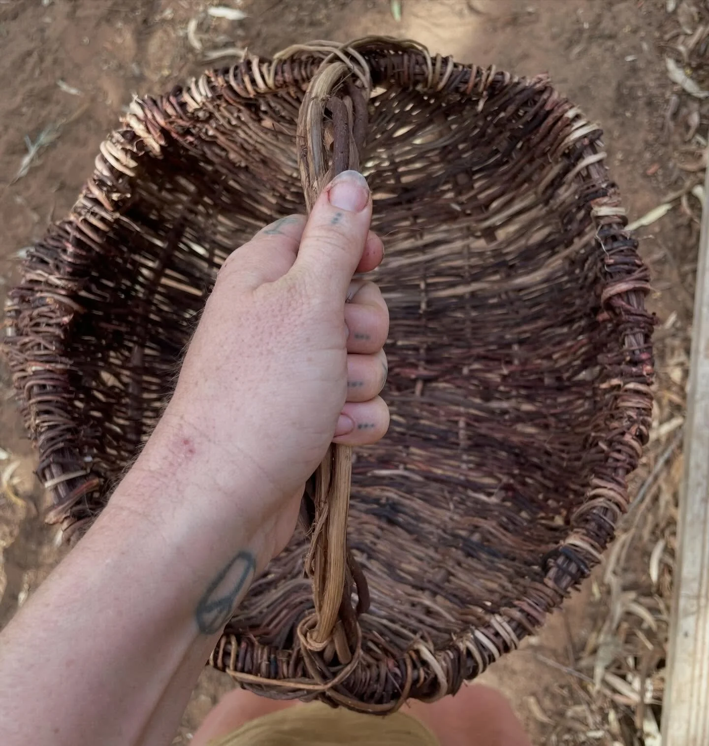 Texture. Colour. Admiration. 

Root basket