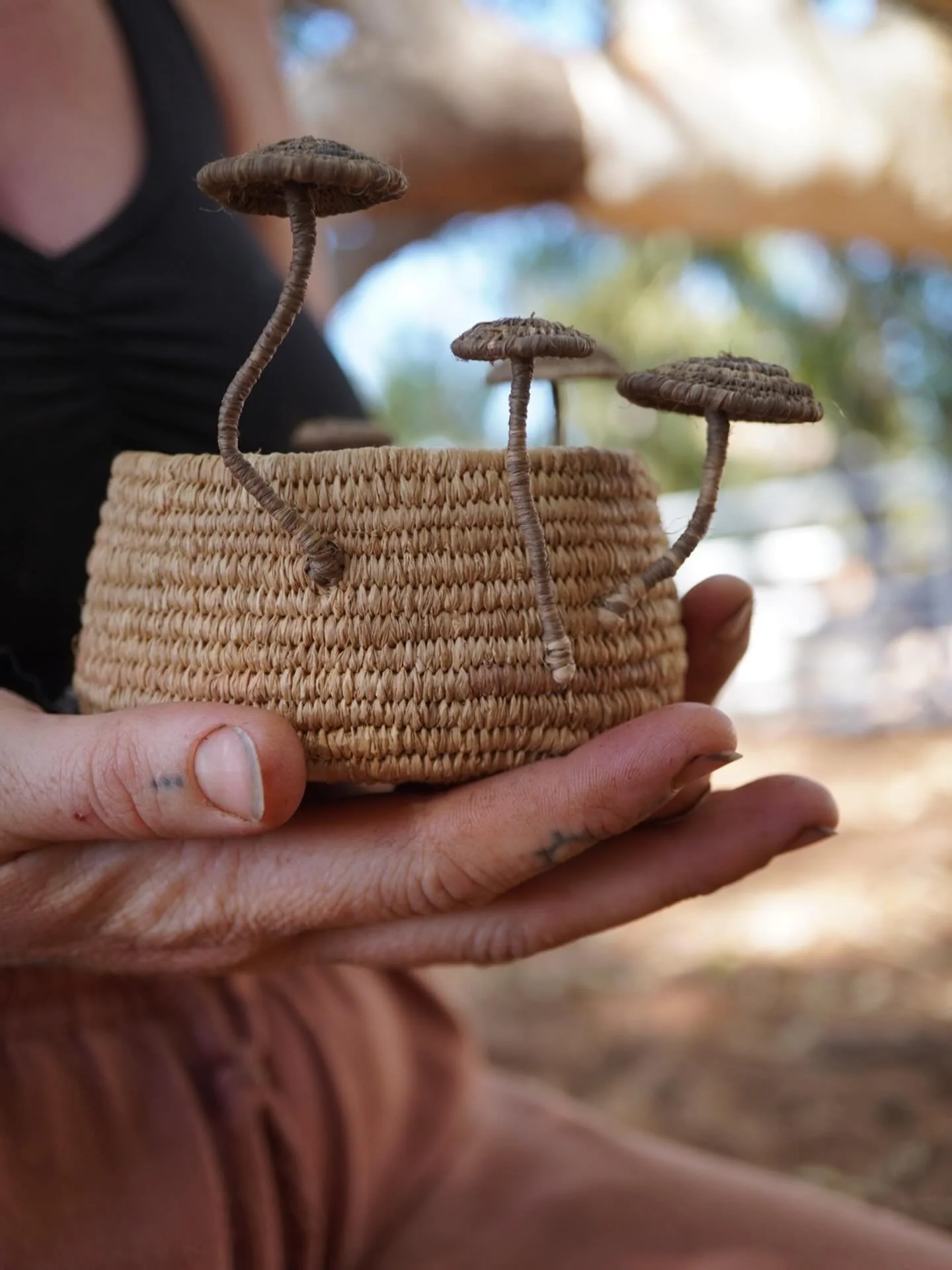 My newest creations. 

Fern dyed raffia for the base 
Iron with indigo and henna concoction dyed raffia for the mushrooms. 🍄&zwj;🟫