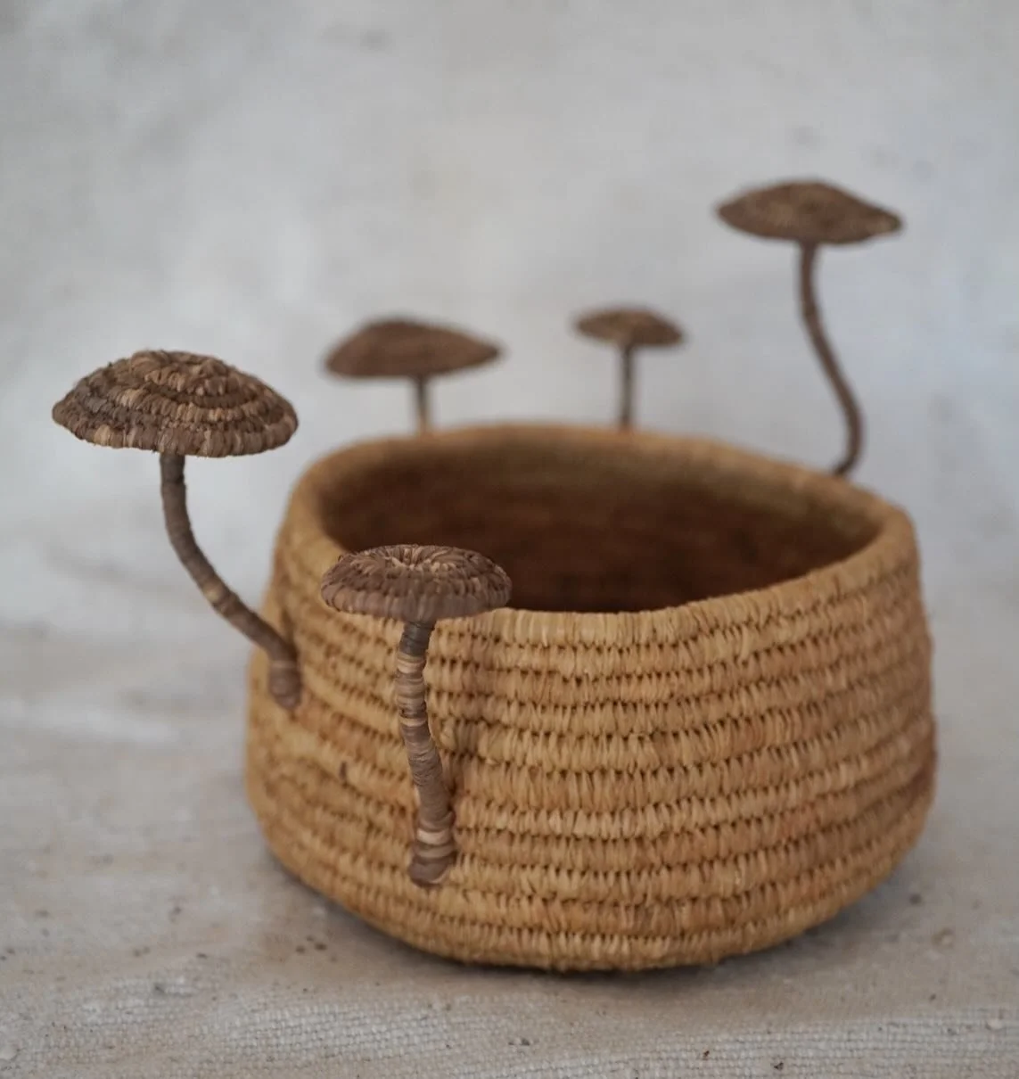 Mushroom bowl 
Coil woven raffia dyed with plants 🪴