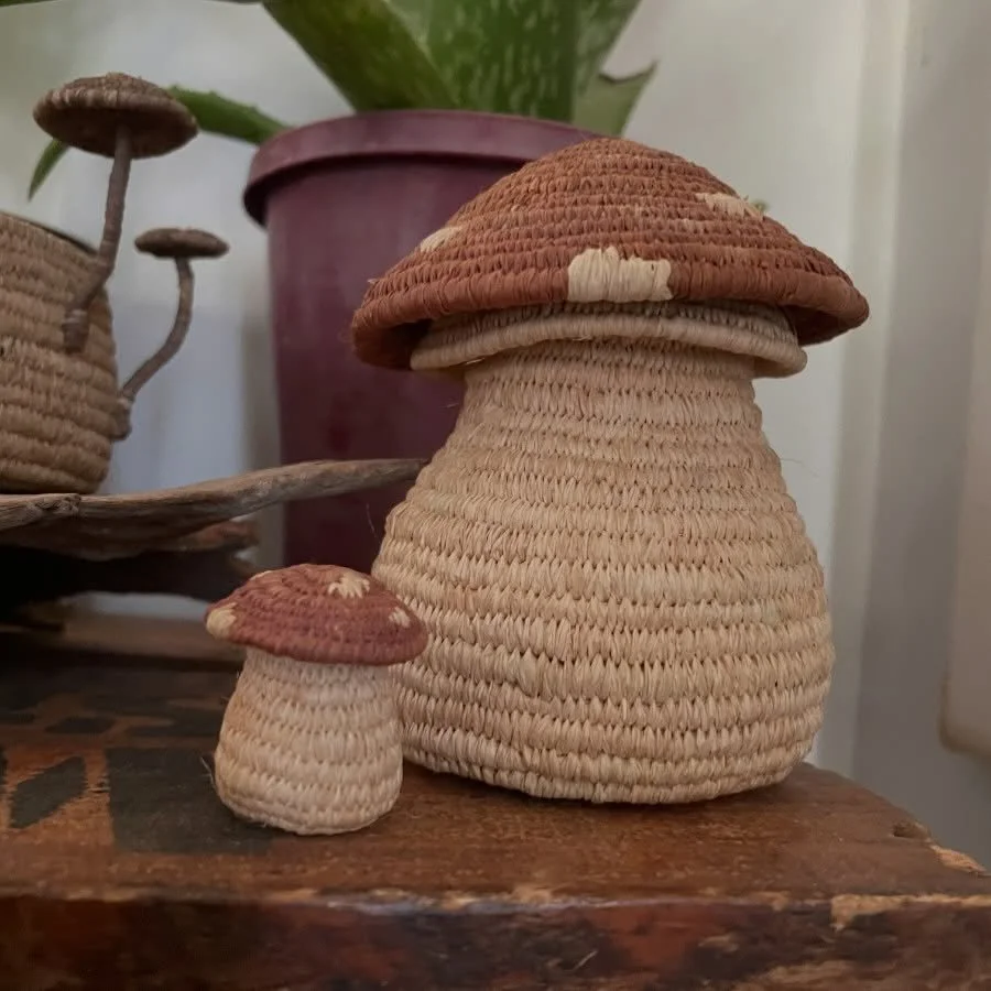 Little toadstool necklace basket to be finished off. 
What a cute pair they make though 🍄