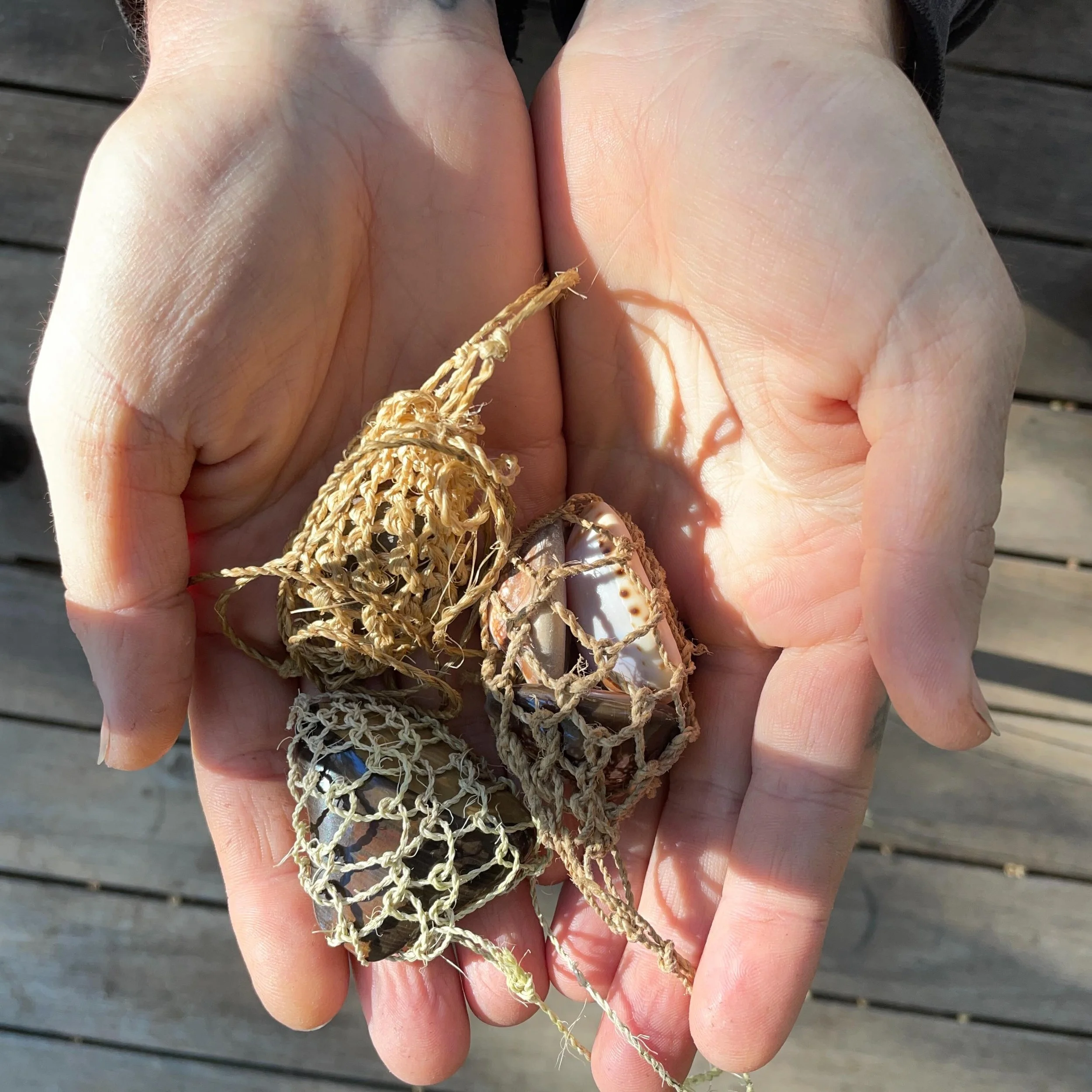 Hands and plants