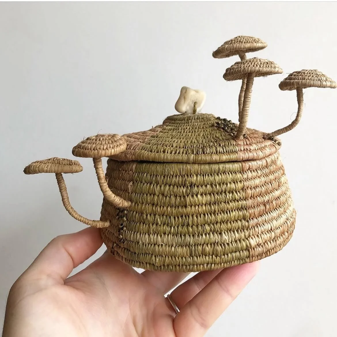 An oldie but a goodie.
Little lidded mushroom basket. 

This was 2024 by memory. One of the first lidded pieces in this style.
