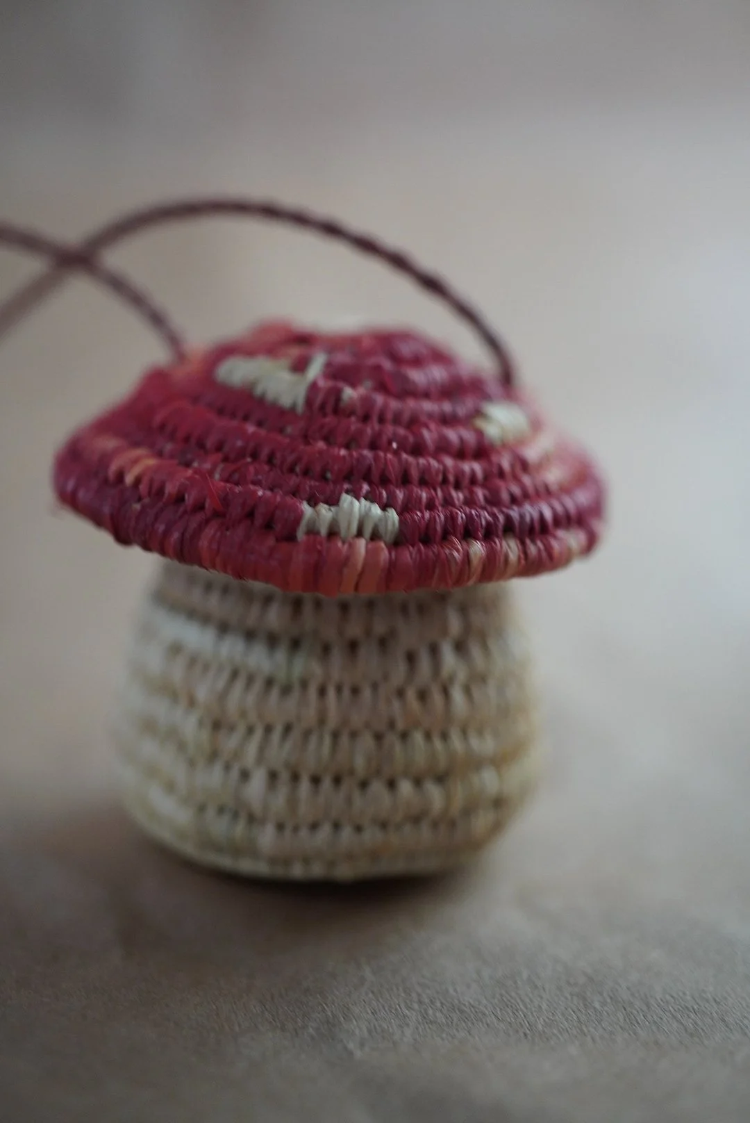 Amanita Muscaria