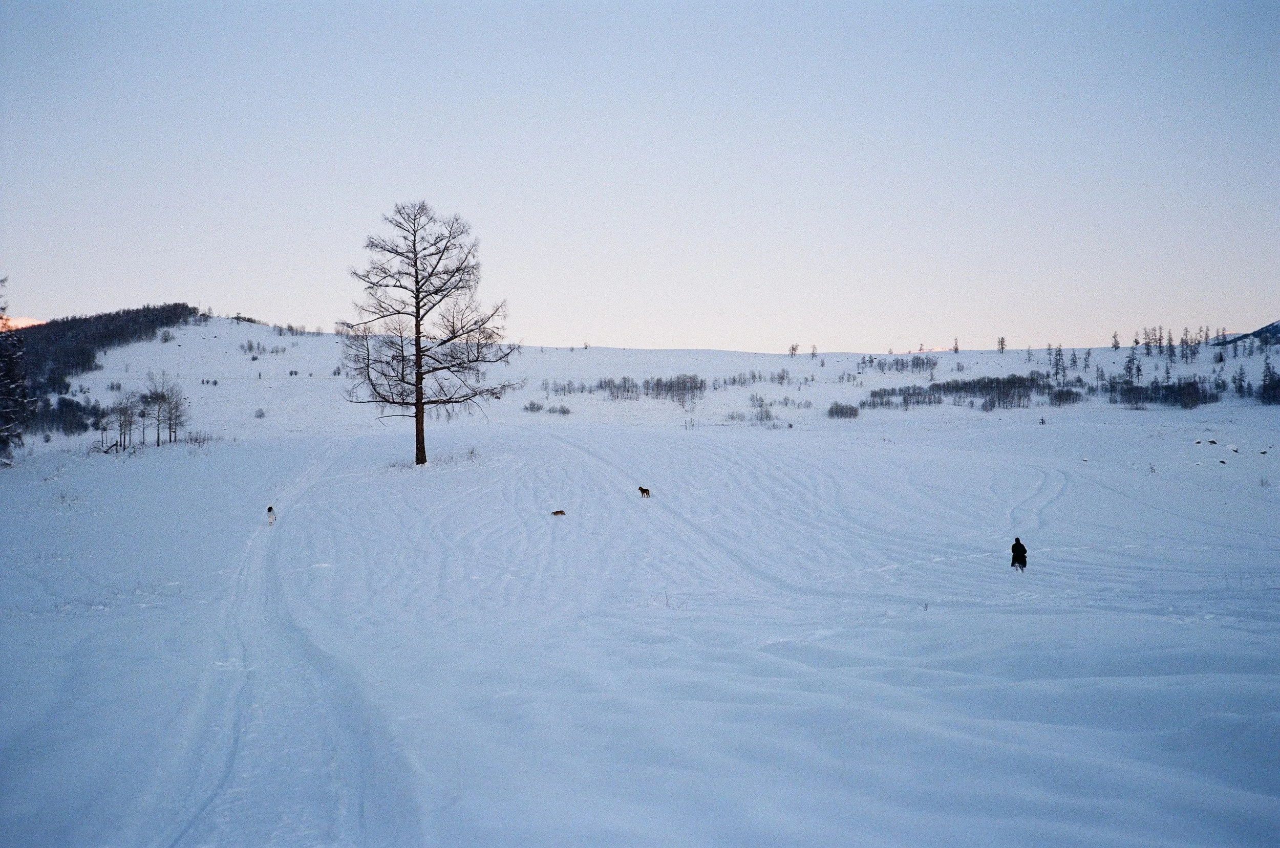 000004430013_12A.jpg