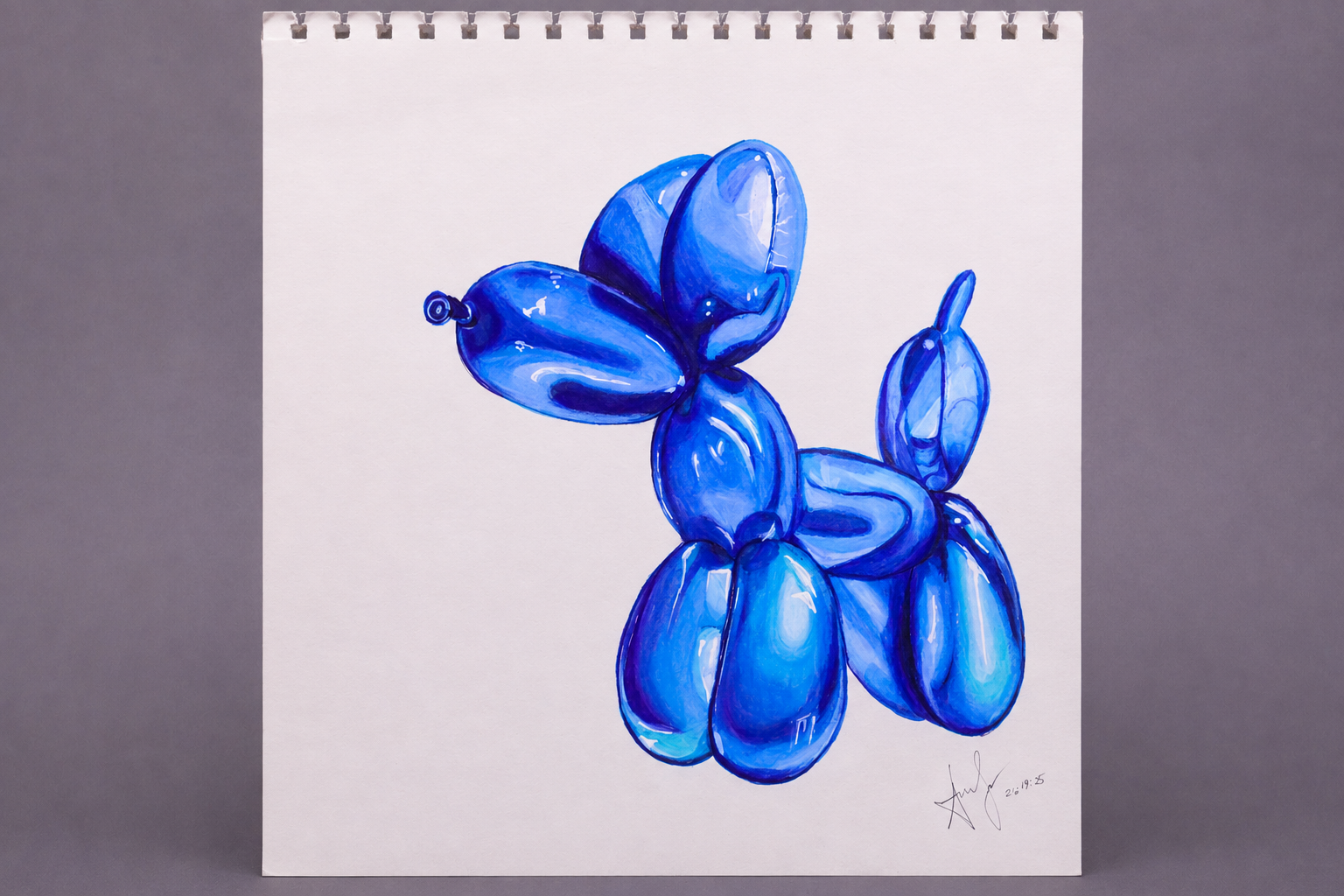 Balloon Project