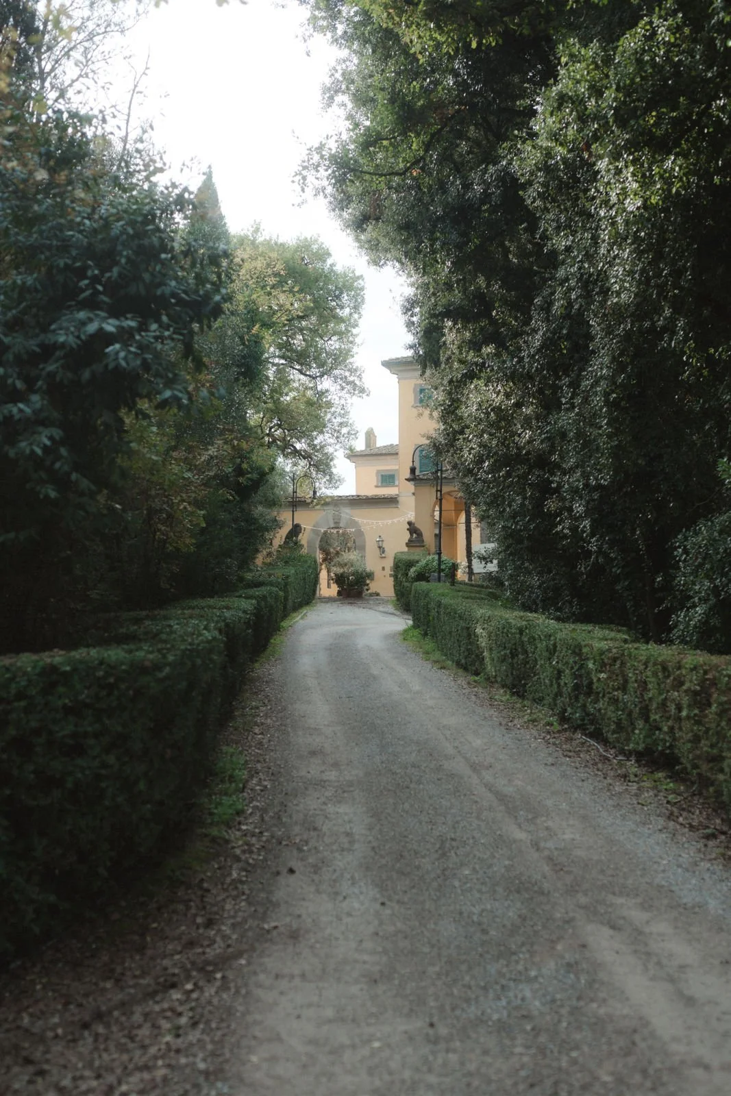 HOCHZEIT (3 von 829).jpg