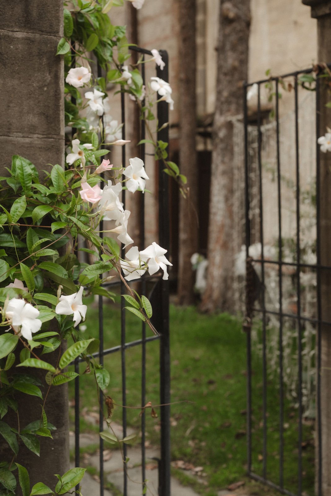 HOCHZEIT (69 von 829).jpg