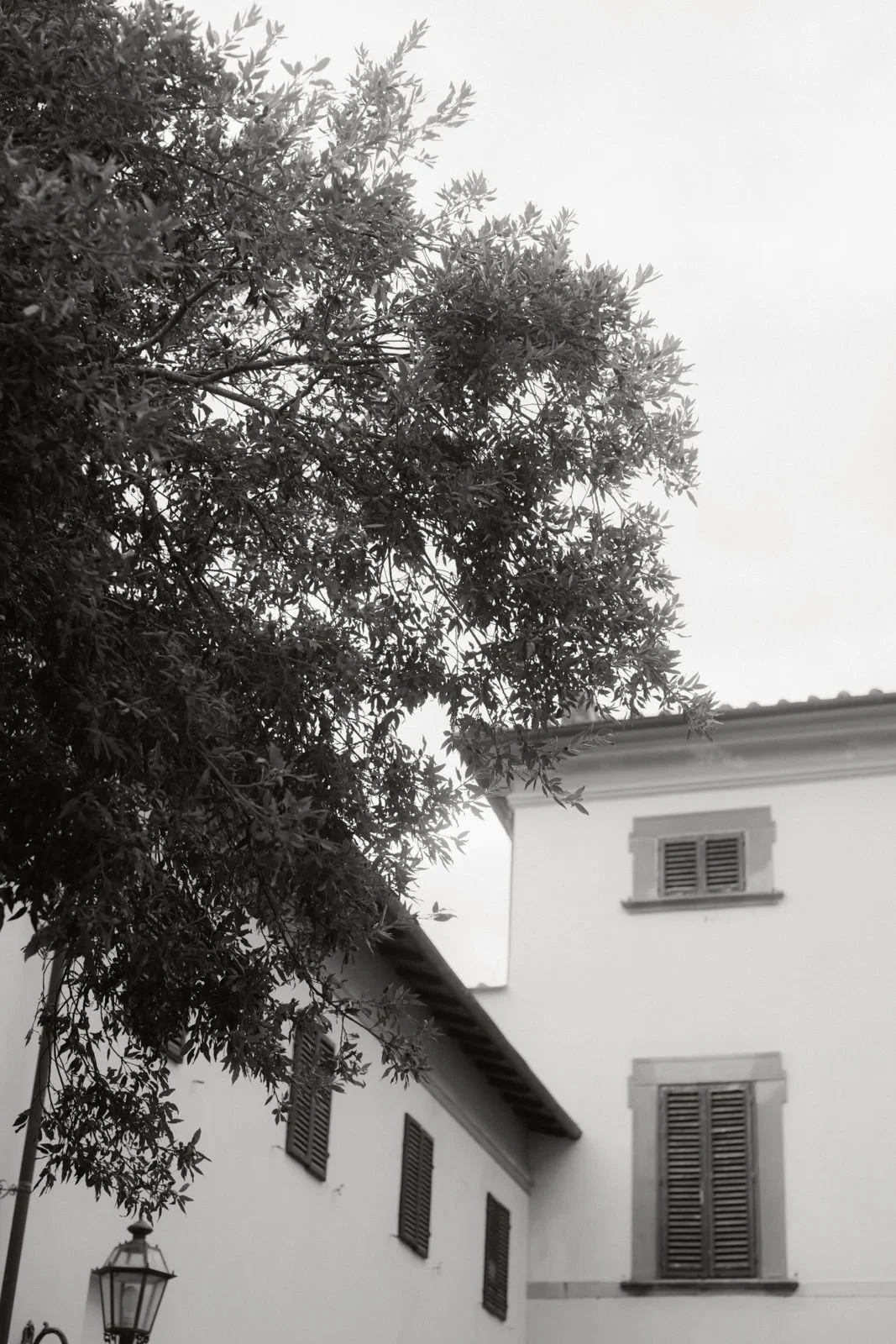 HOCHZEIT (81 von 829).jpg