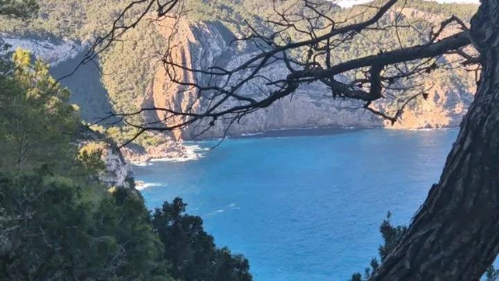 Sunday hike.
Enjoying nature.

www.discoveribizahikes.com