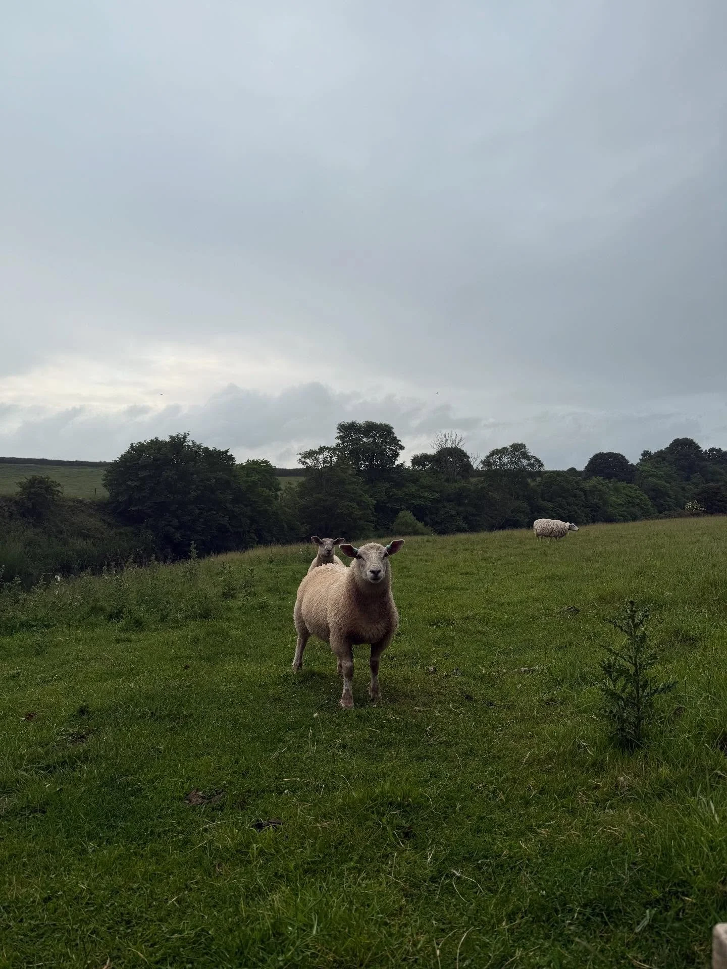 Recently in the Borders