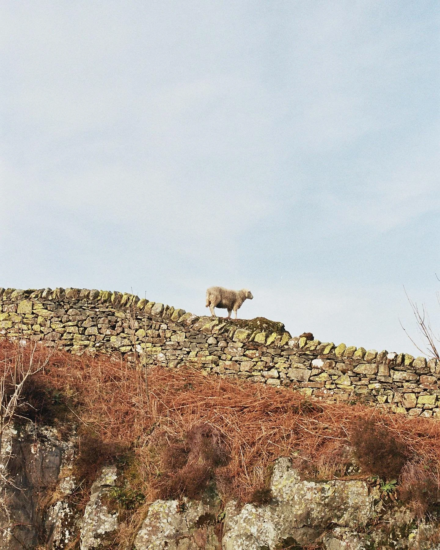 35mm film from our road trip up to Scotland