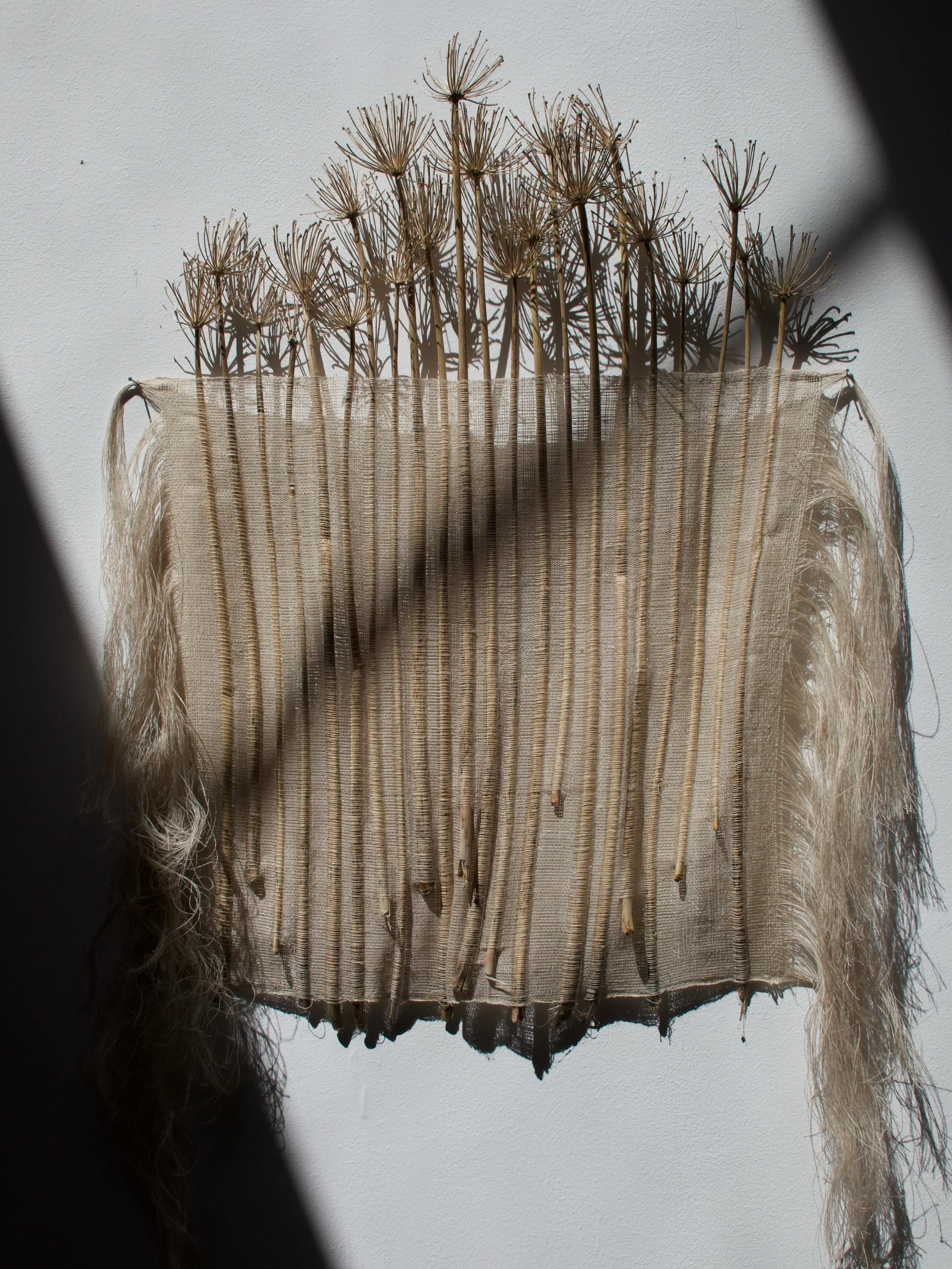 Natural Findings I

2025 

Available via email : scarlweaves@gmail.com